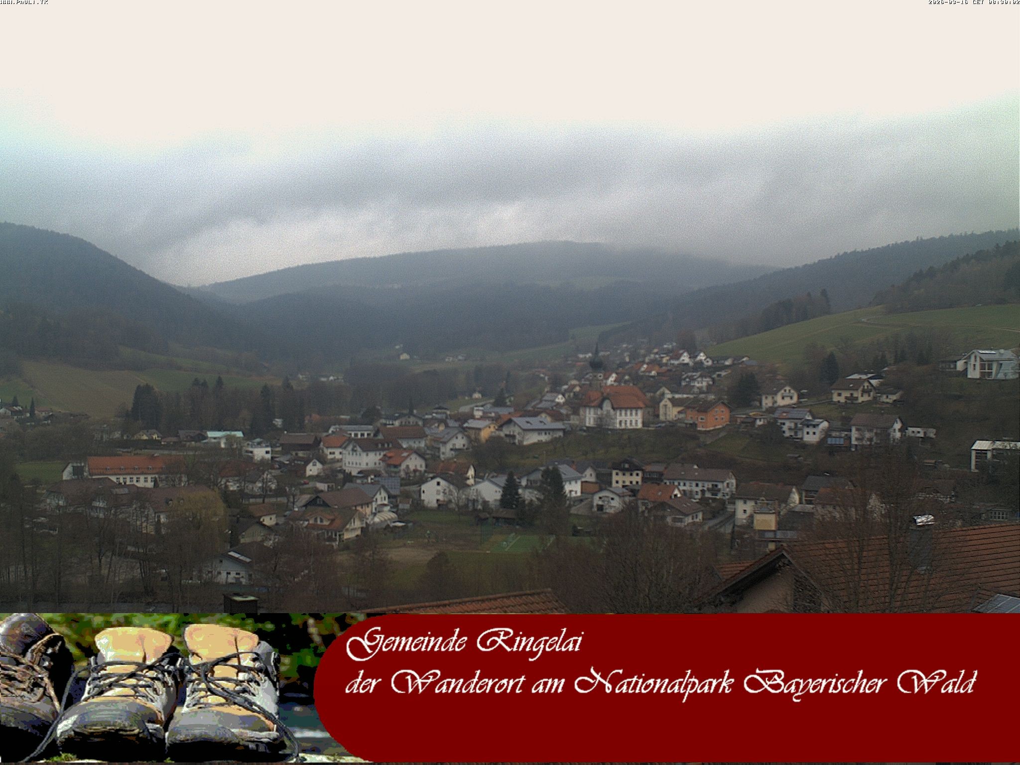 Archiv Foto Webcam Ringelai