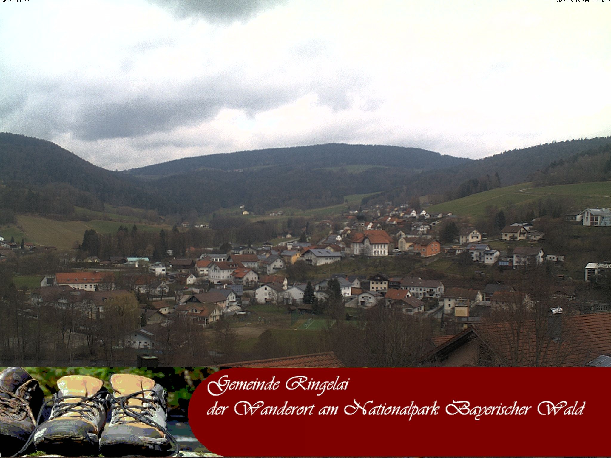 Archiv Foto Webcam Ringelai