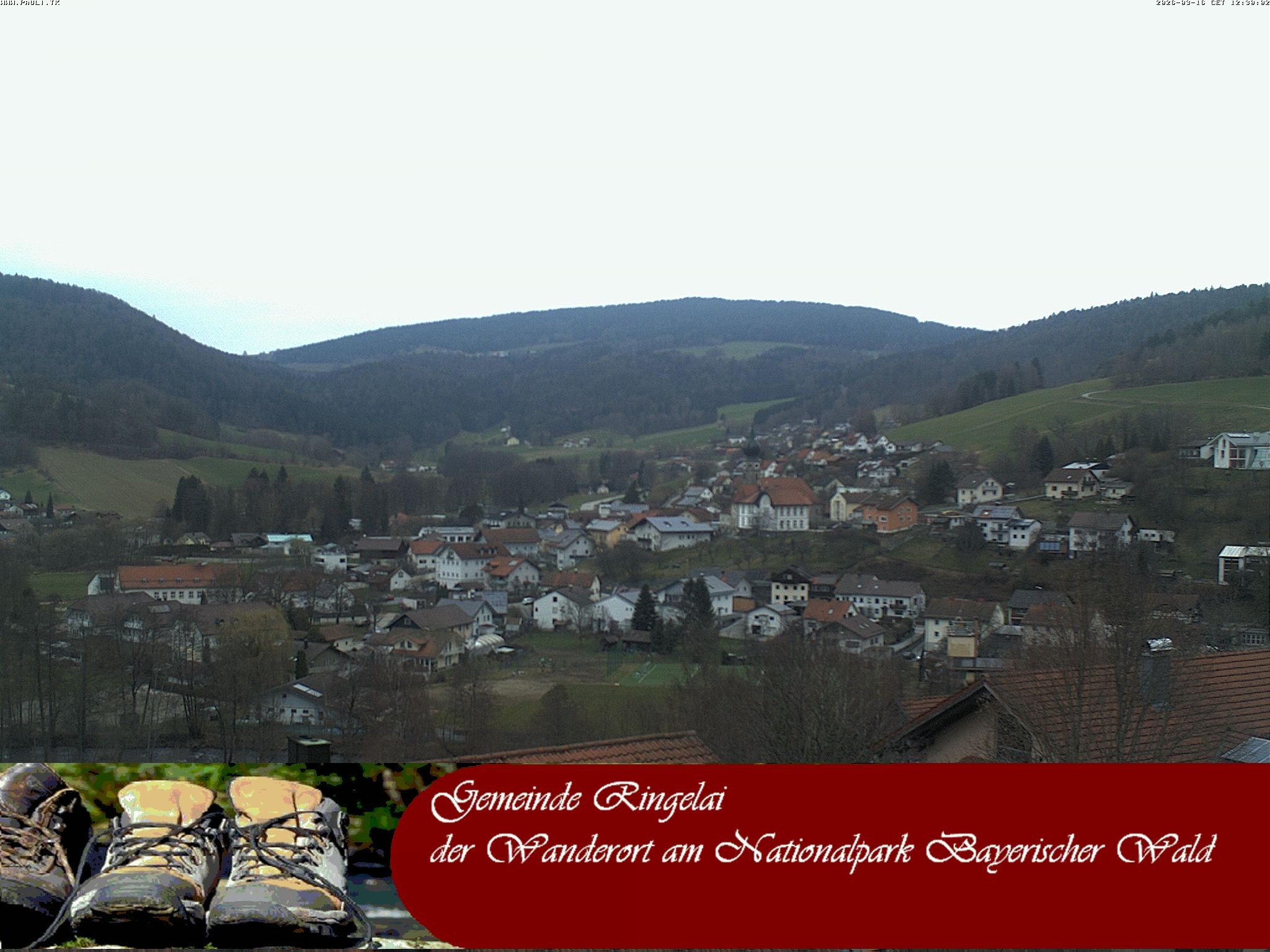 Archiv Foto Webcam Ringelai