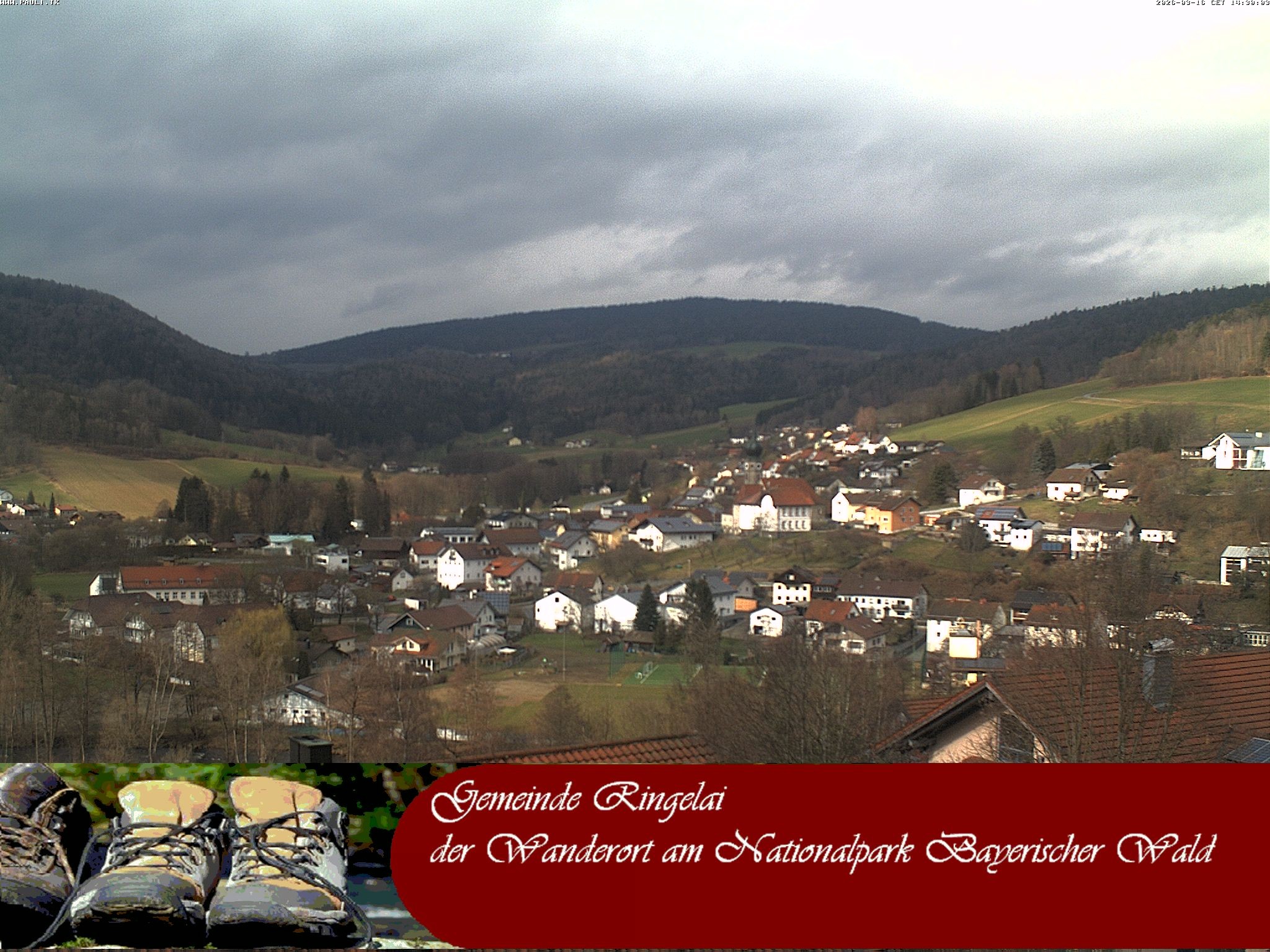 Archiv Foto Webcam Ringelai