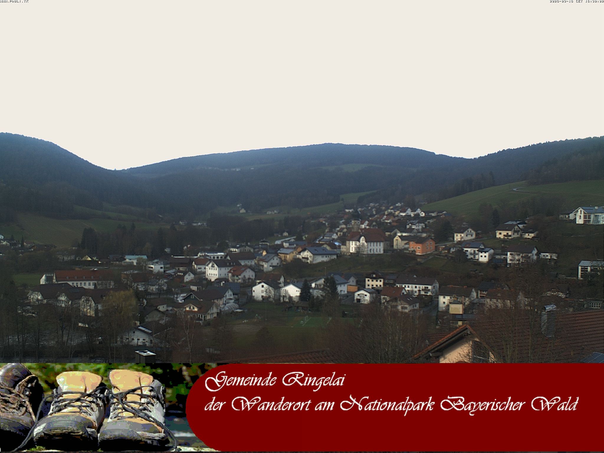 Archiv Foto Webcam Ringelai