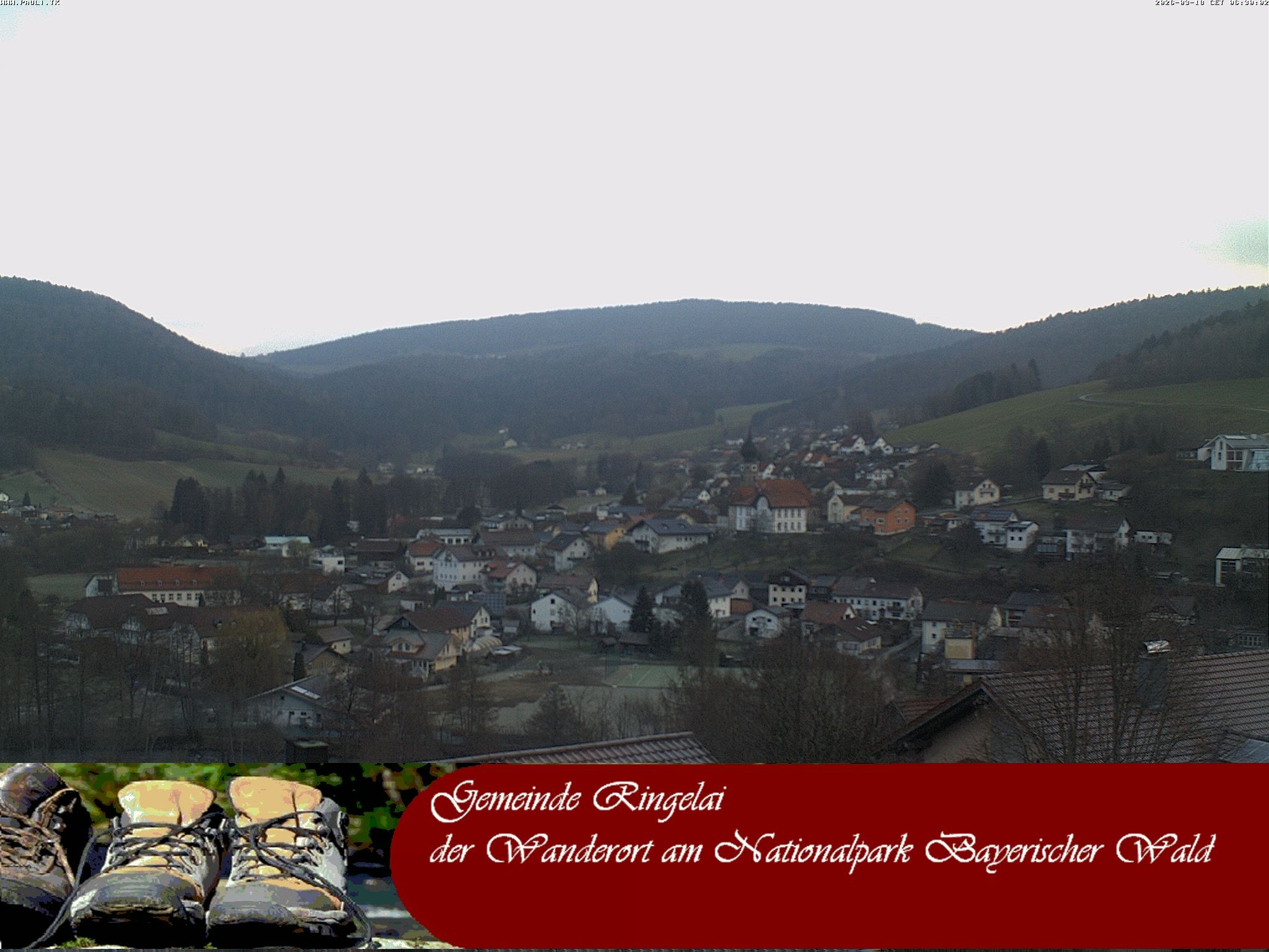 Archiv Foto Webcam Ringelai