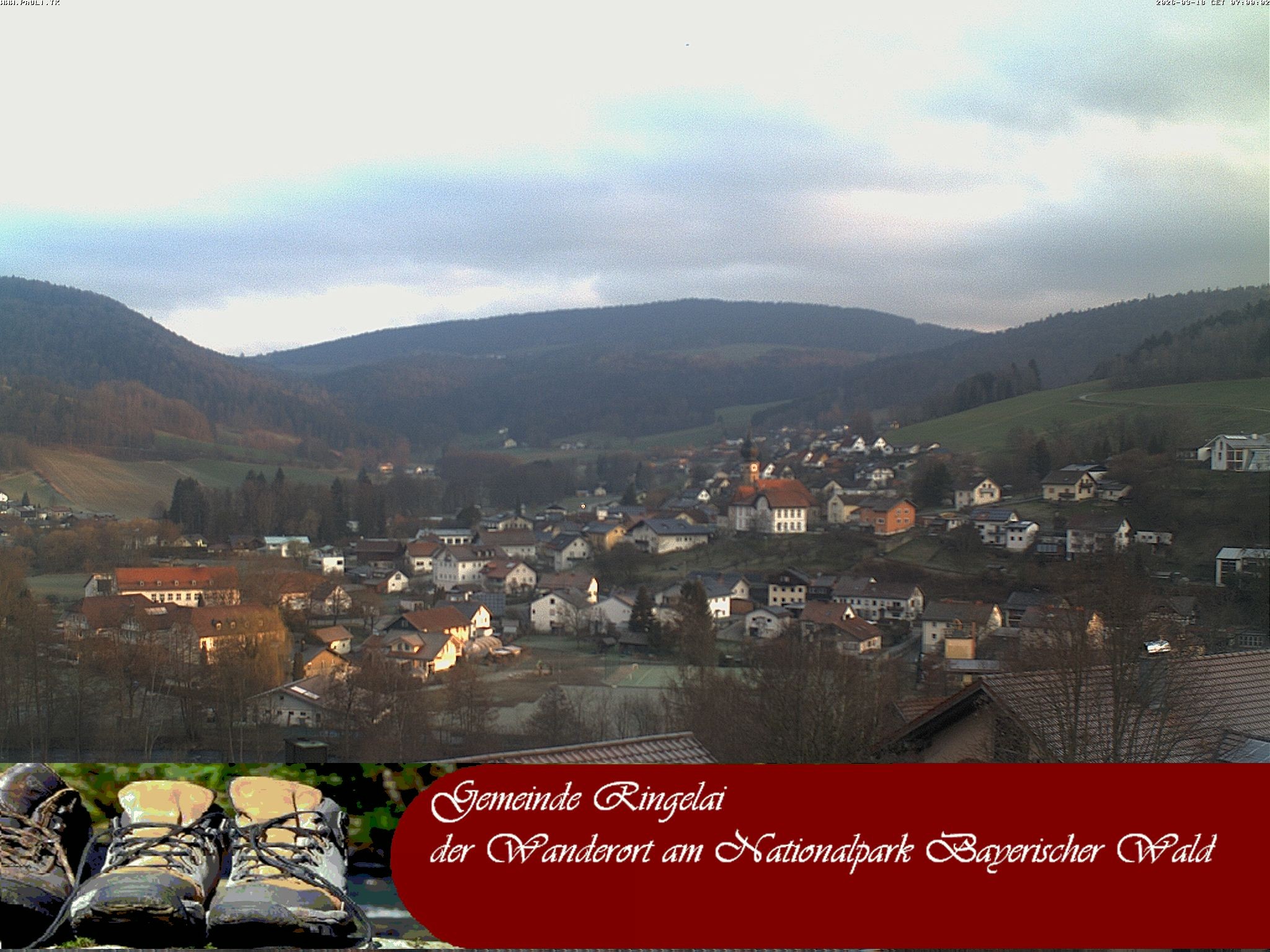 Archiv Foto Webcam Ringelai