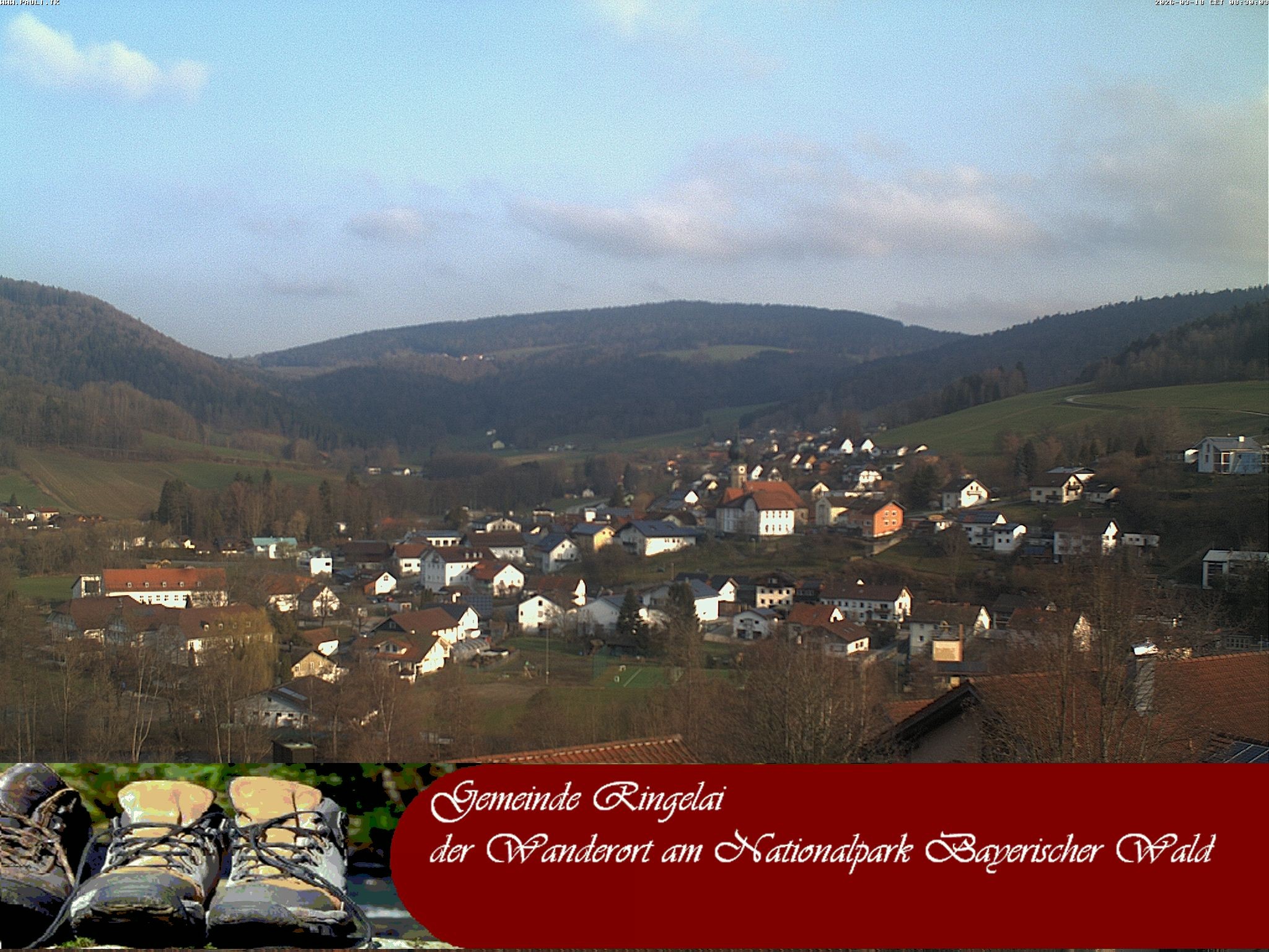 Archiv Foto Webcam Ringelai