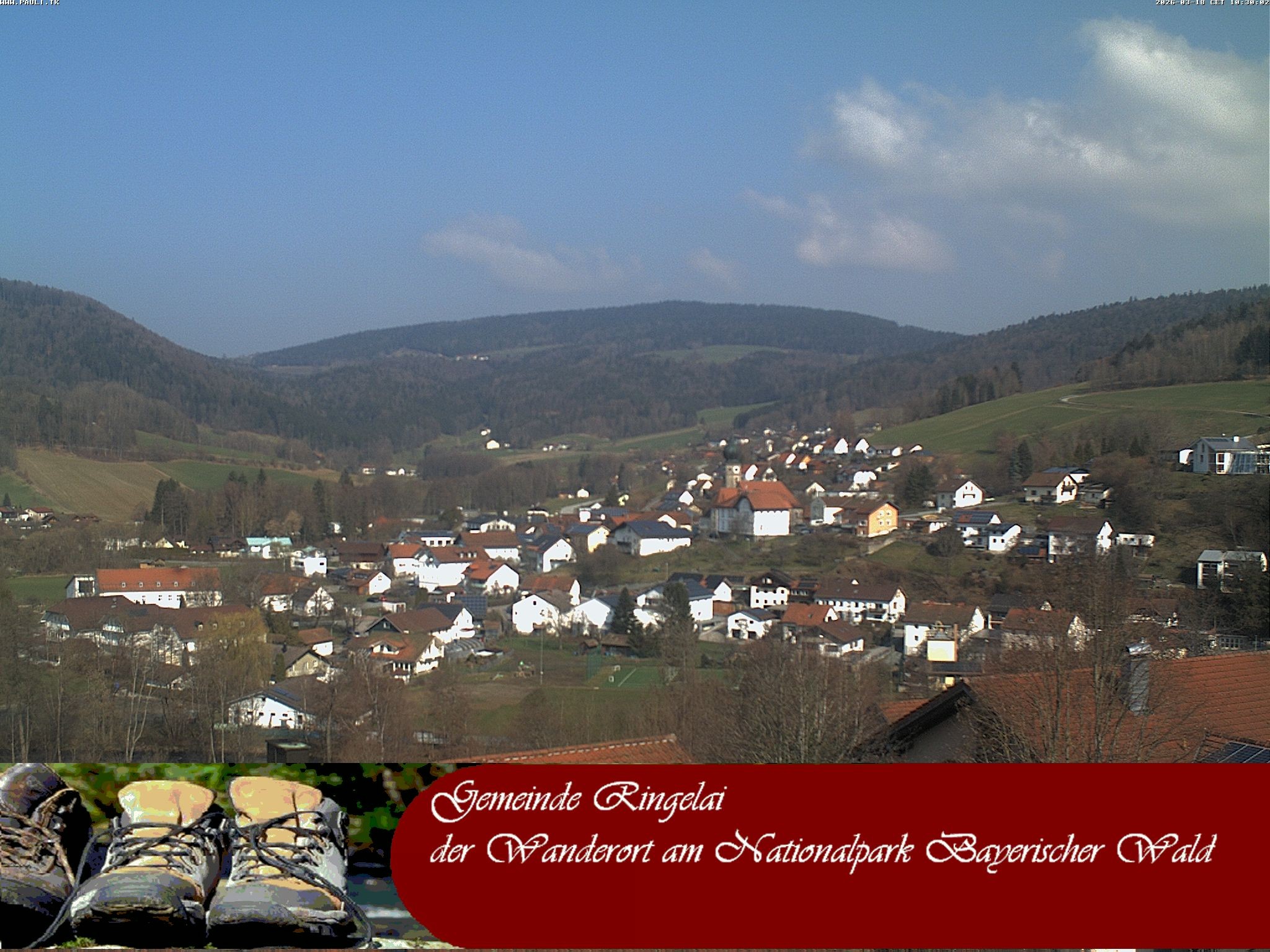 Archiv Foto Webcam Ringelai