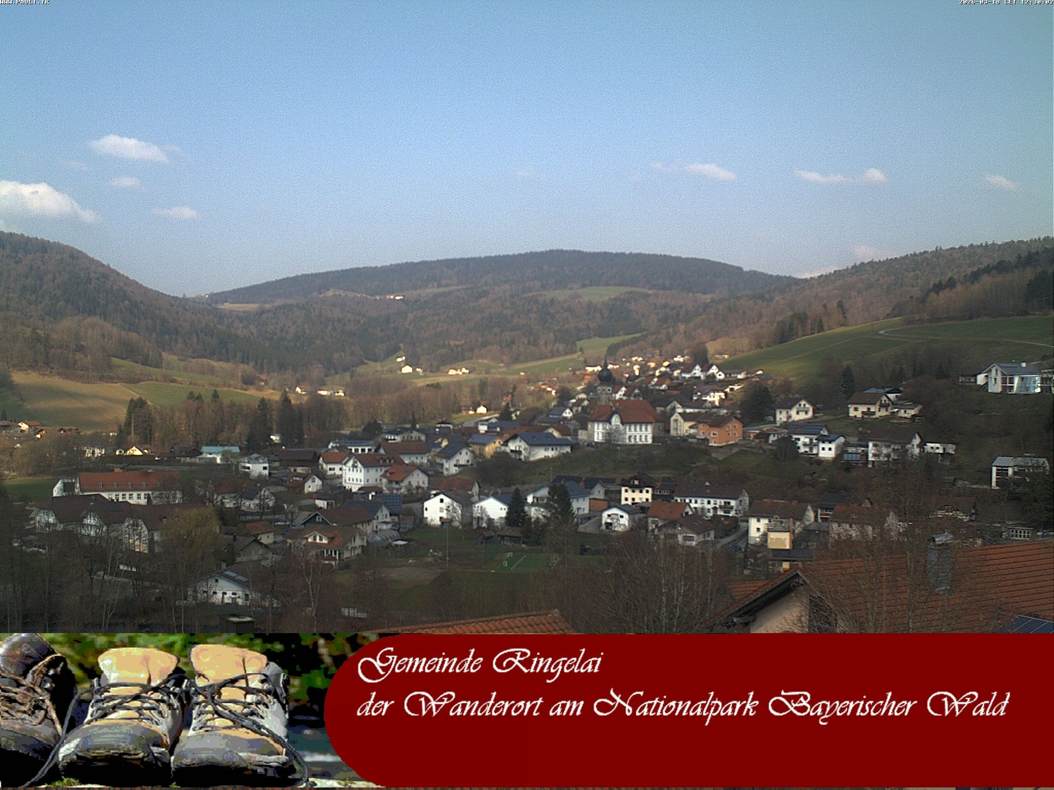 Archiv Foto Webcam Ringelai