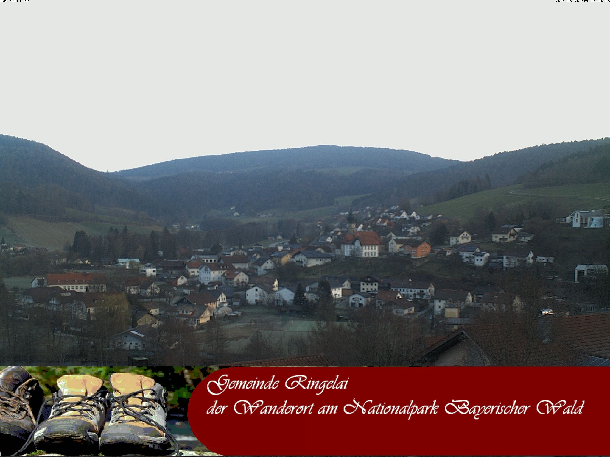 Archiv Foto Webcam Ringelai