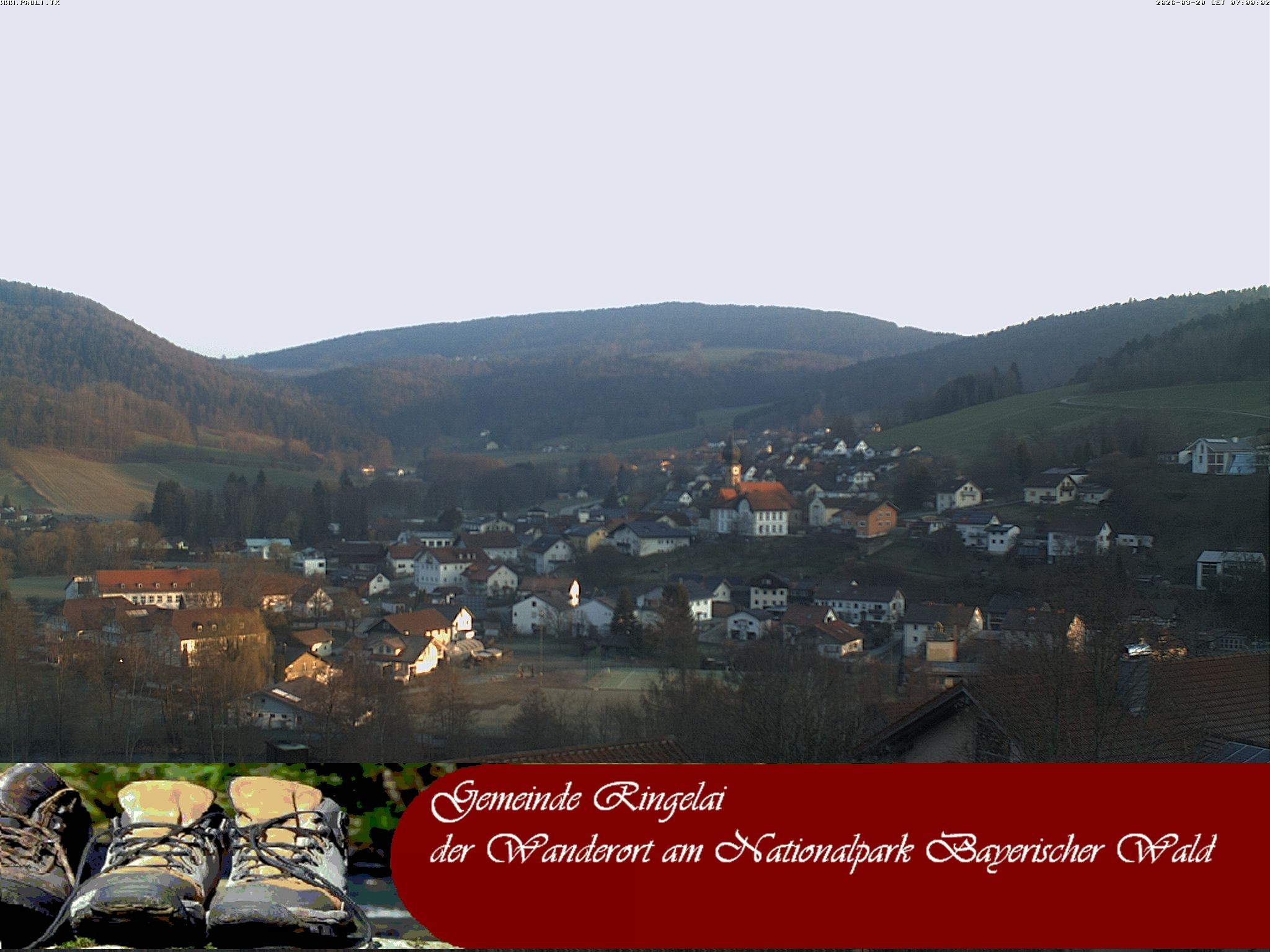 Archiv Foto Webcam Ringelai