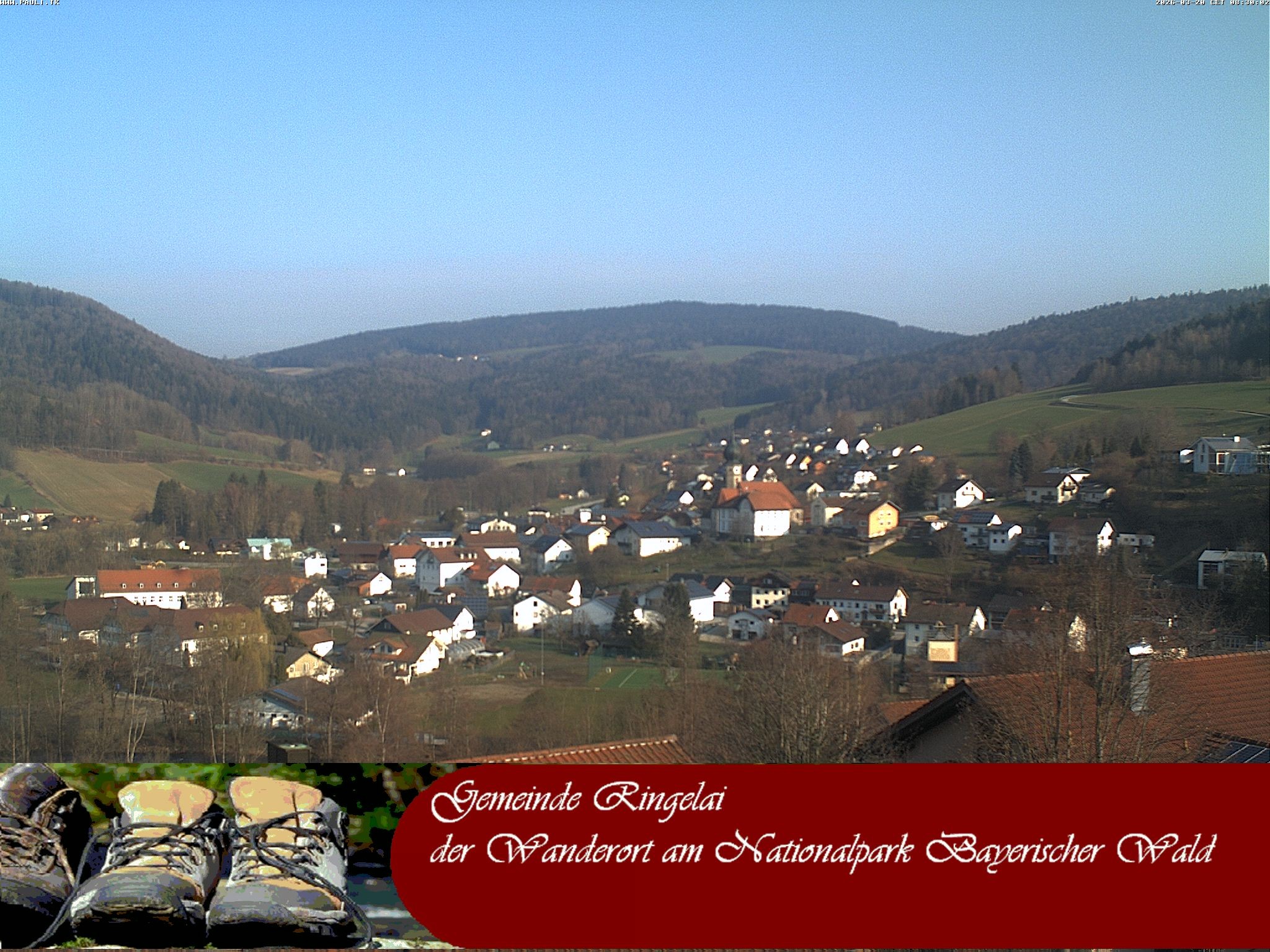 Archiv Foto Webcam Ringelai