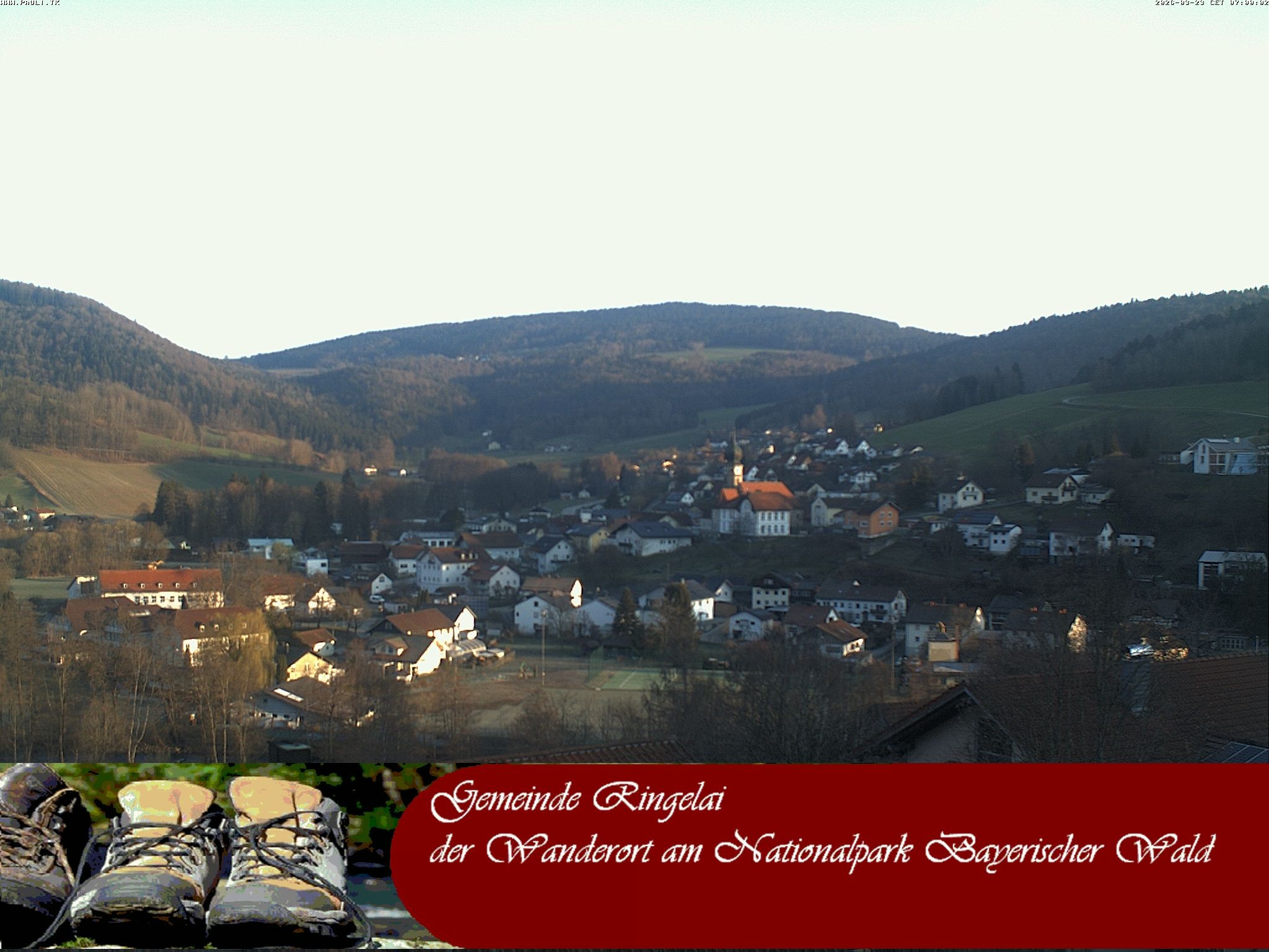 Archiv Foto Webcam Ringelai