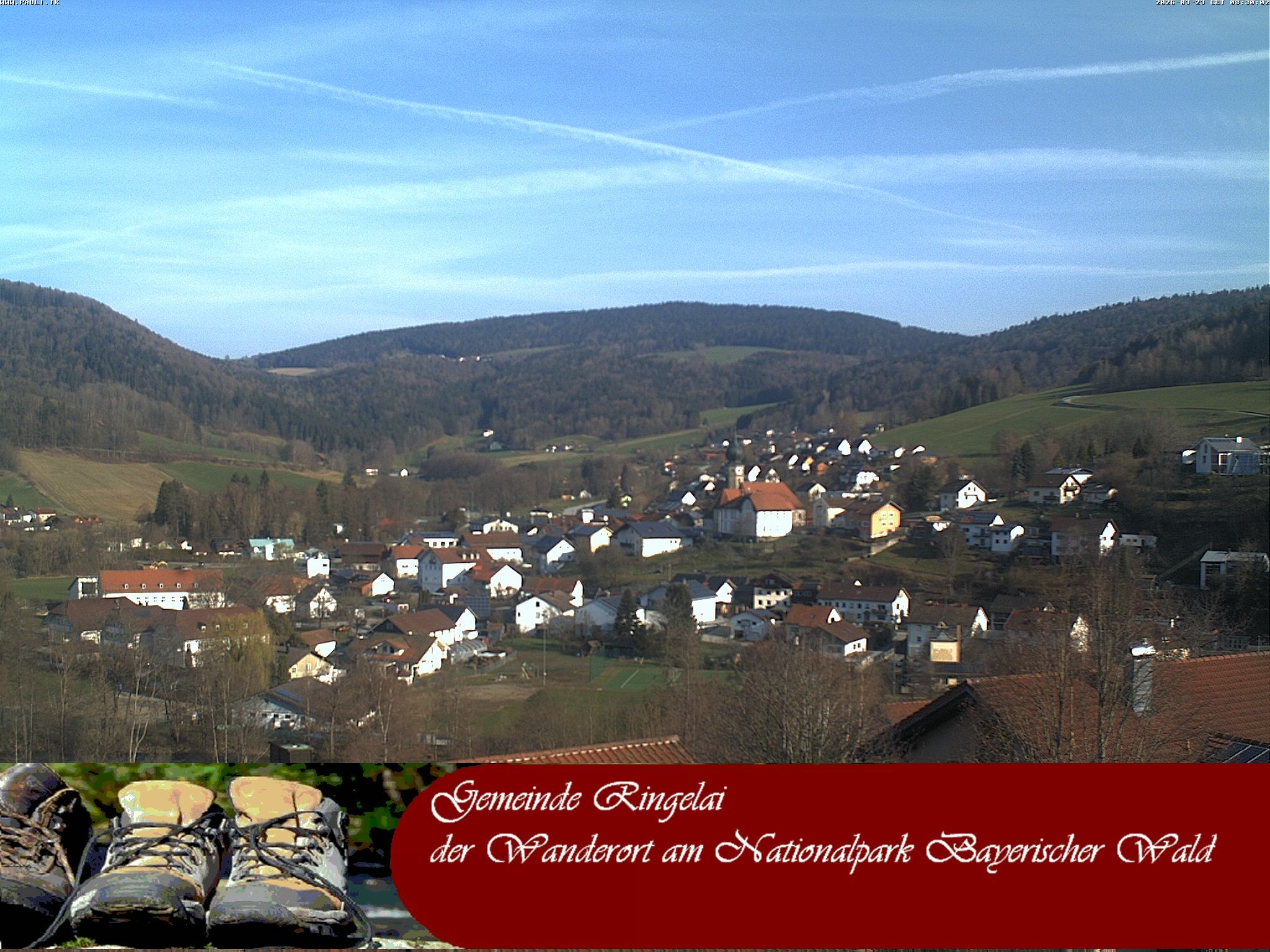 Archiv Foto Webcam Ringelai