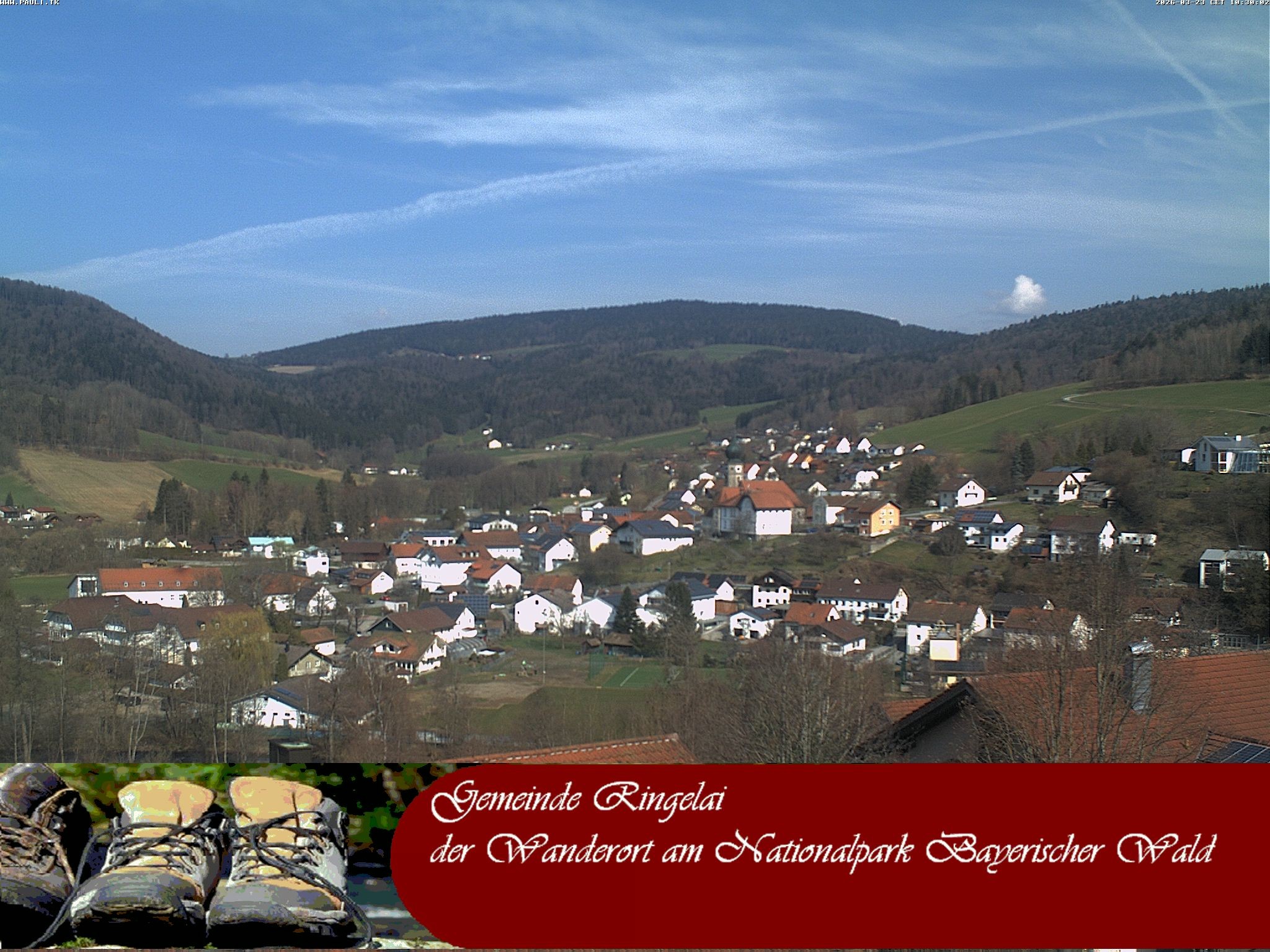 Archiv Foto Webcam Ringelai