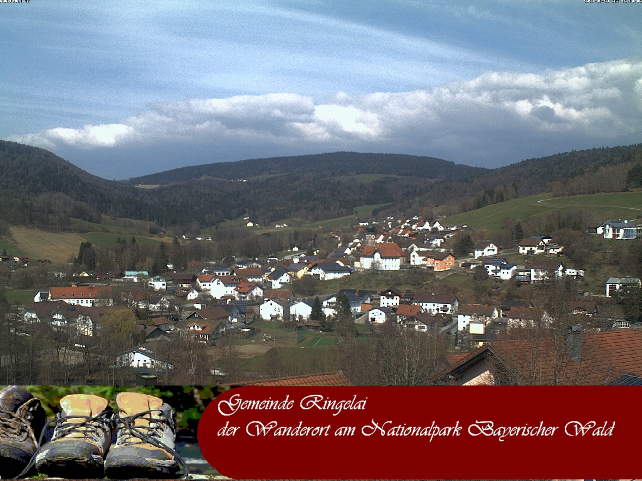 Archiv Foto Webcam Ringelai