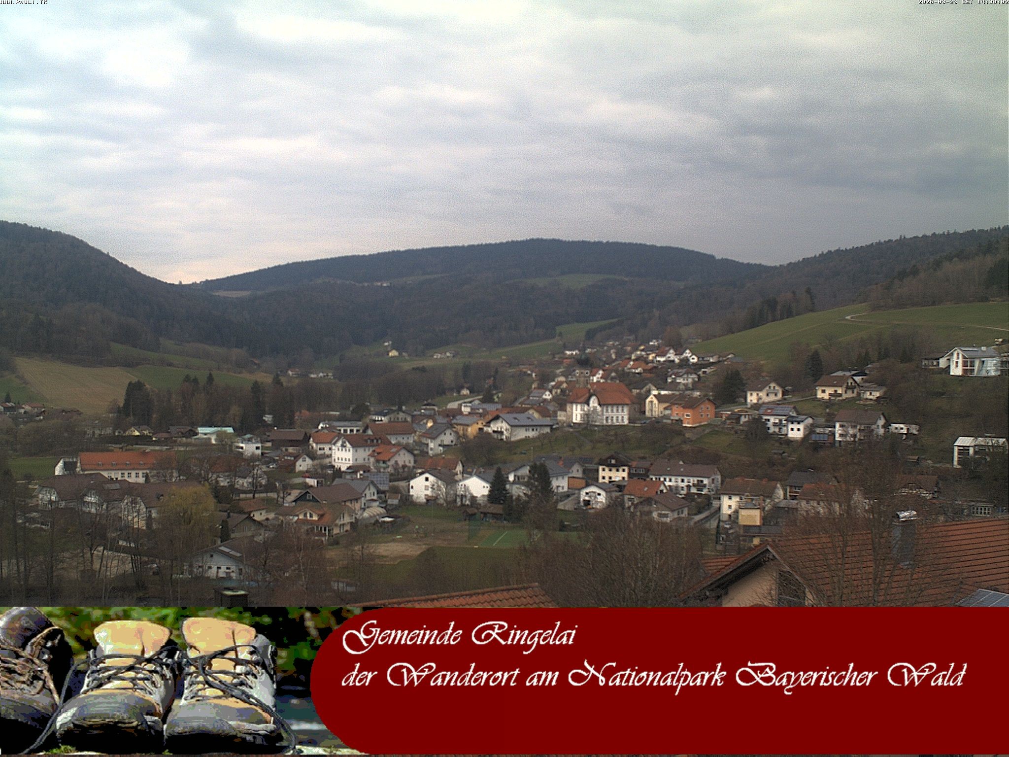 Archiv Foto Webcam Ringelai