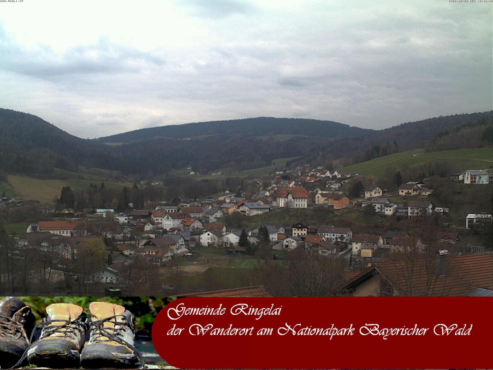 Archiv Foto Webcam Ringelai