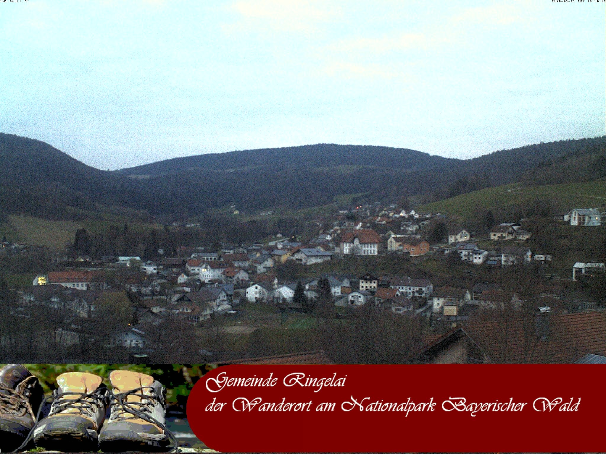 Archiv Foto Webcam Ringelai