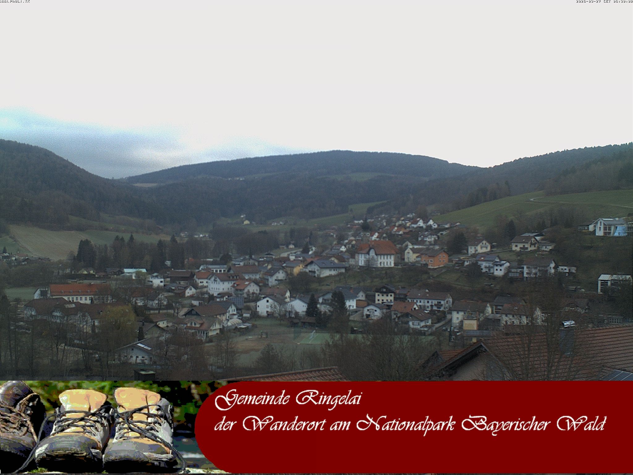 Archiv Foto Webcam Ringelai