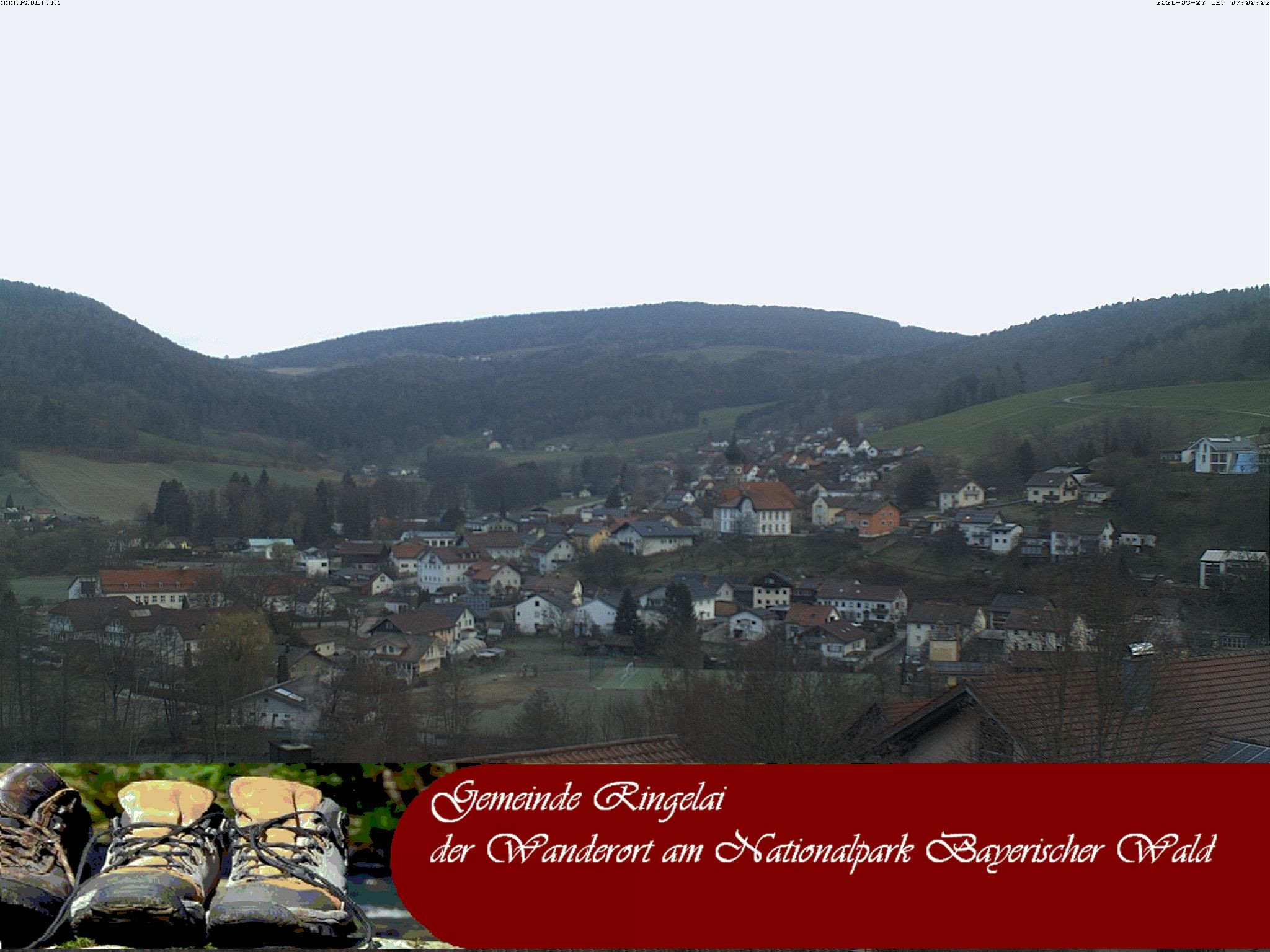 Archiv Foto Webcam Ringelai