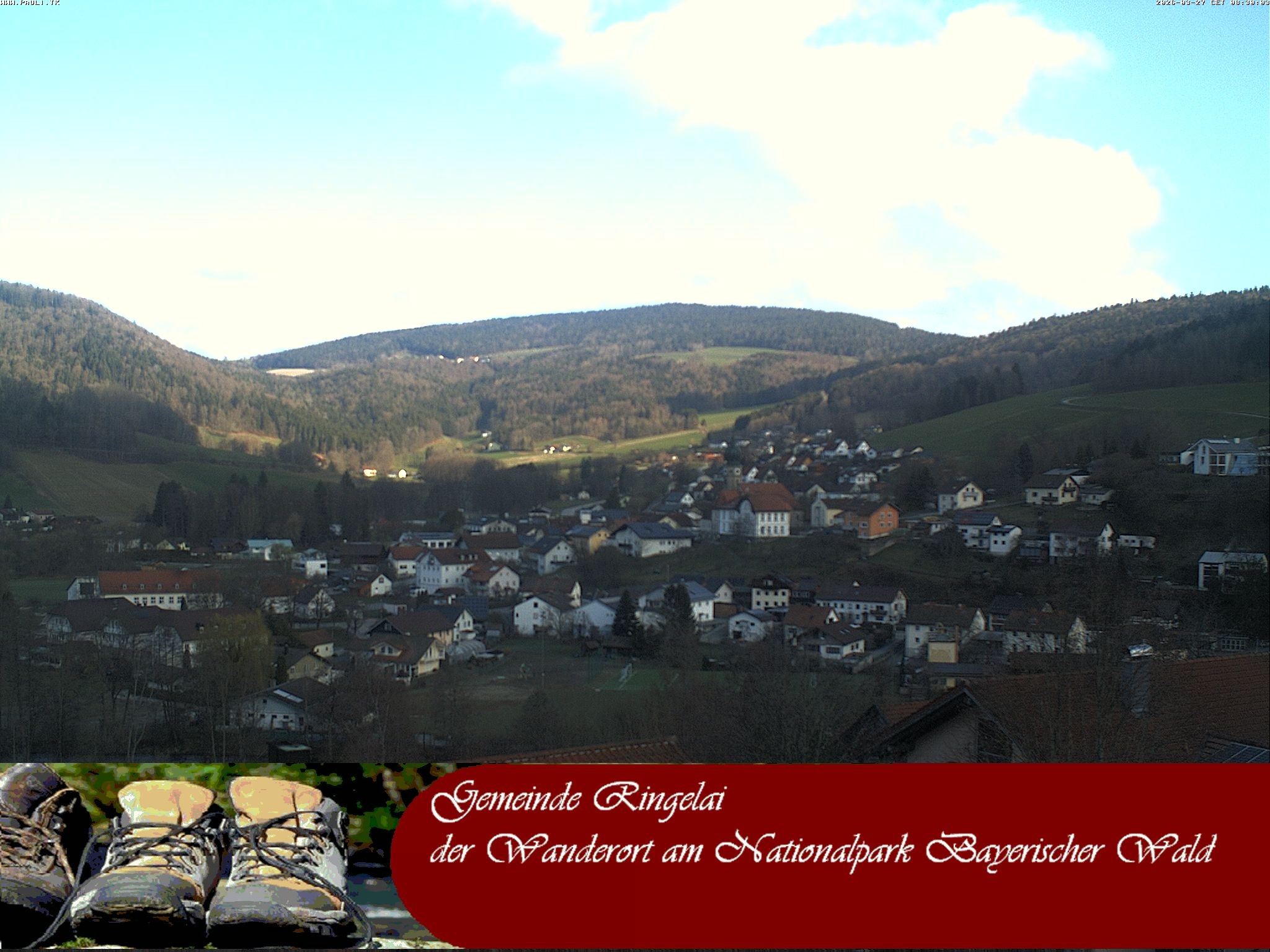 Archiv Foto Webcam Ringelai