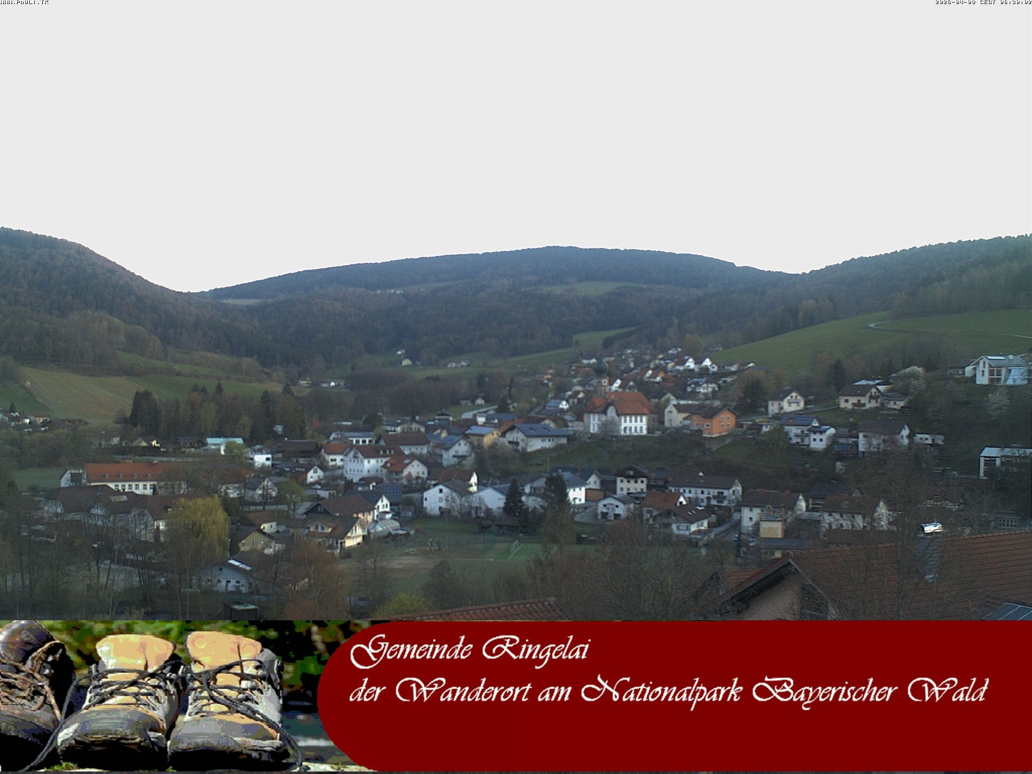 Archiv Foto Webcam Ringelai