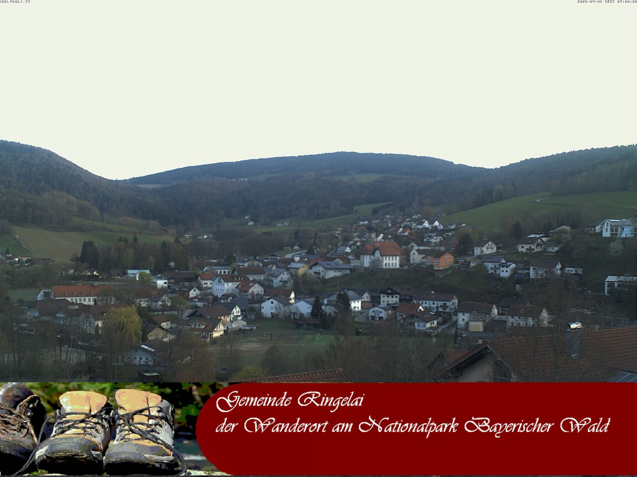 Archiv Foto Webcam Ringelai