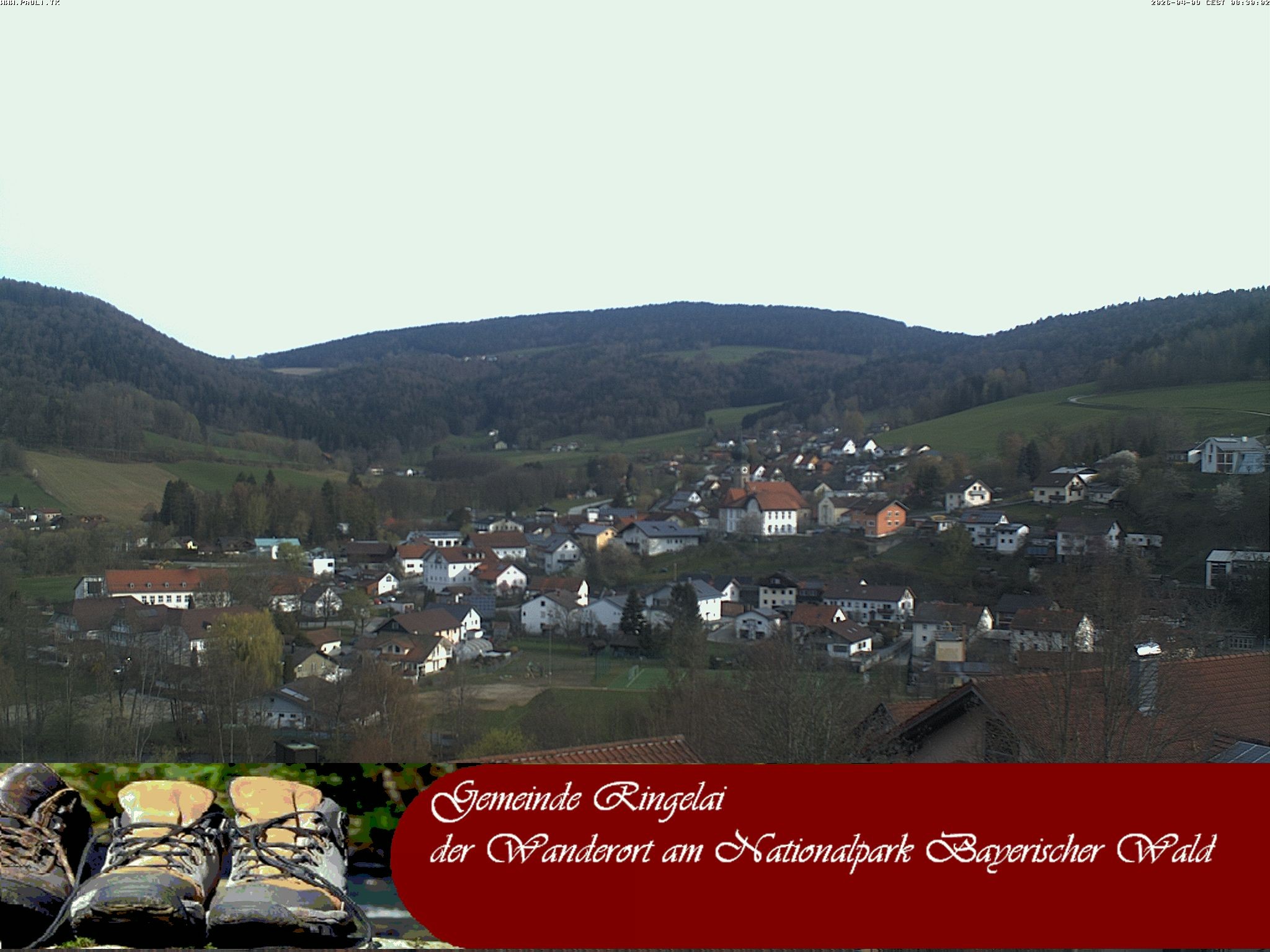 Archiv Foto Webcam Ringelai