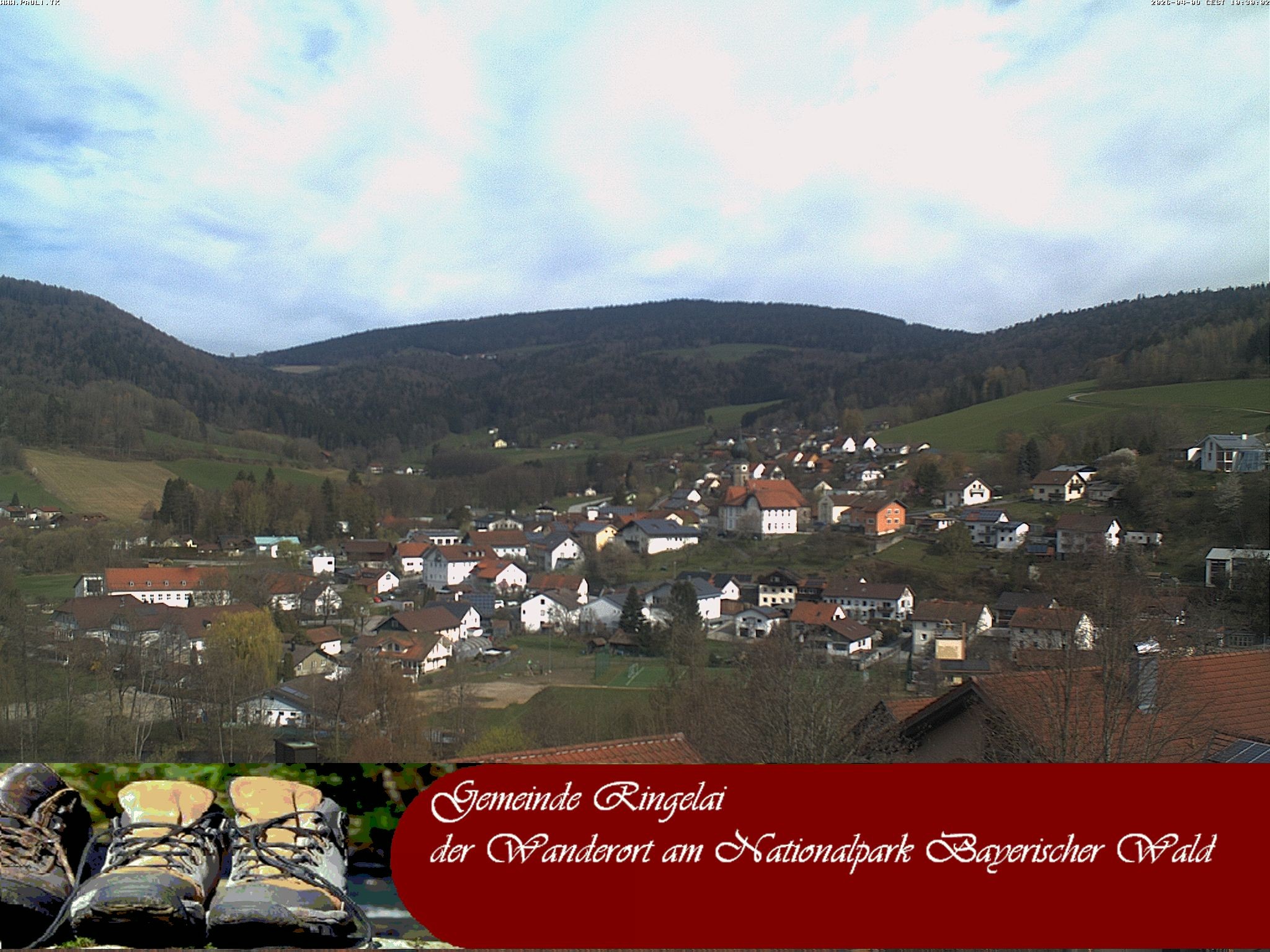 Archiv Foto Webcam Ringelai