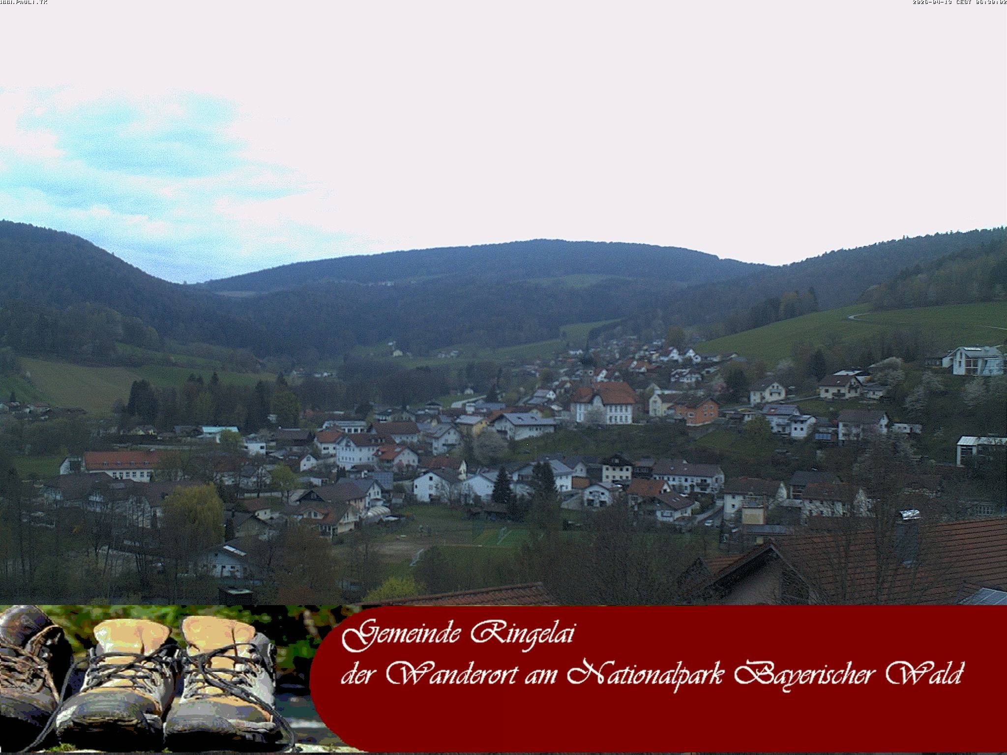 Archiv Foto Webcam Ringelai