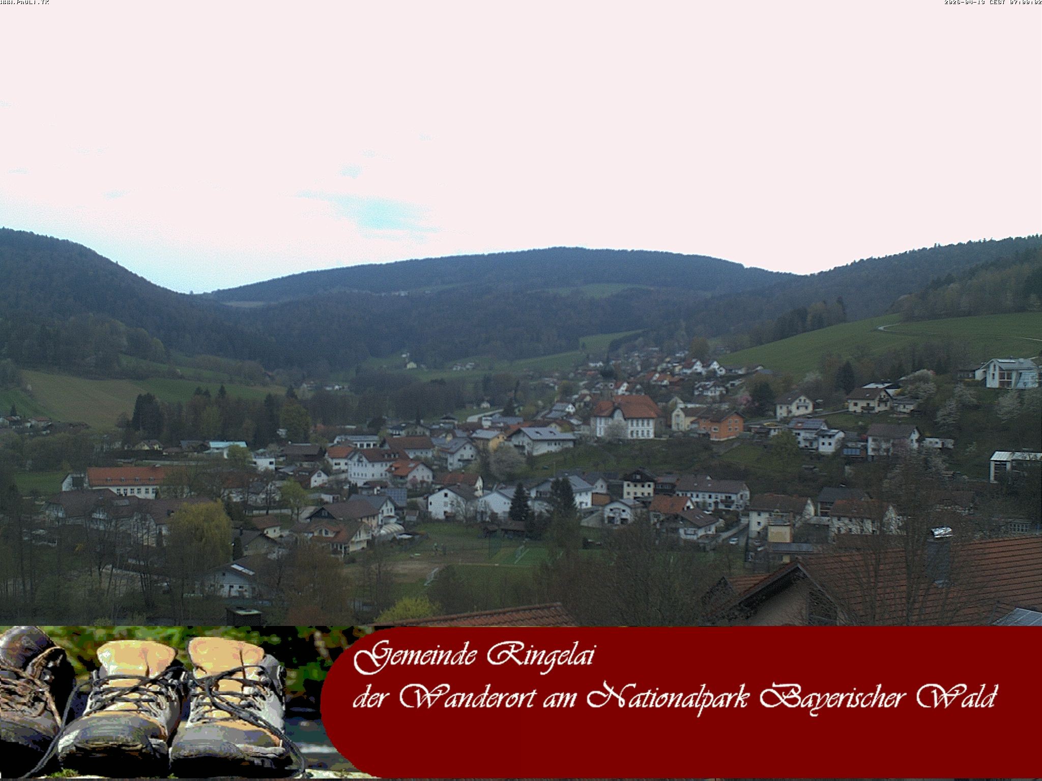 Archiv Foto Webcam Ringelai