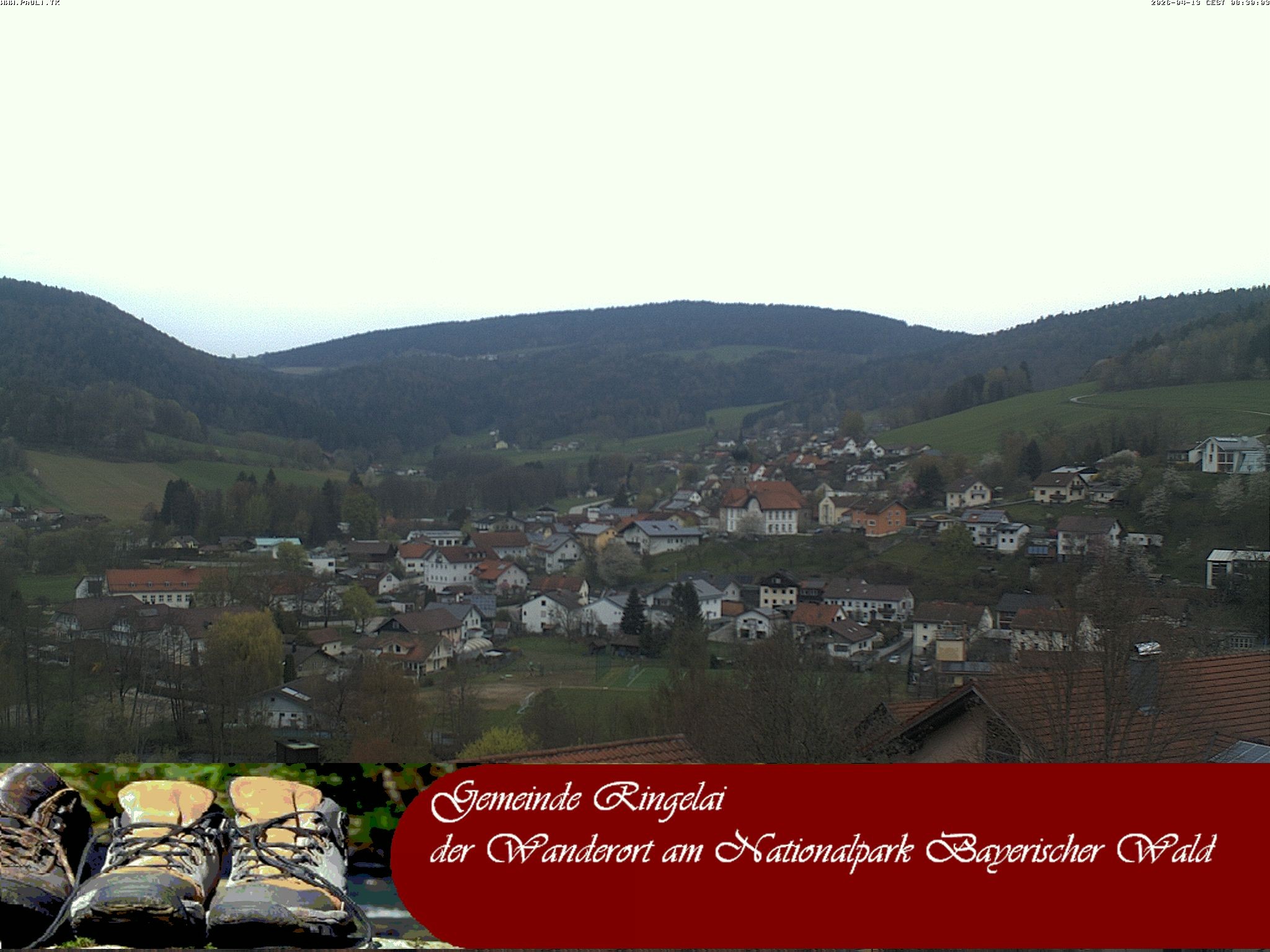 Archiv Foto Webcam Ringelai