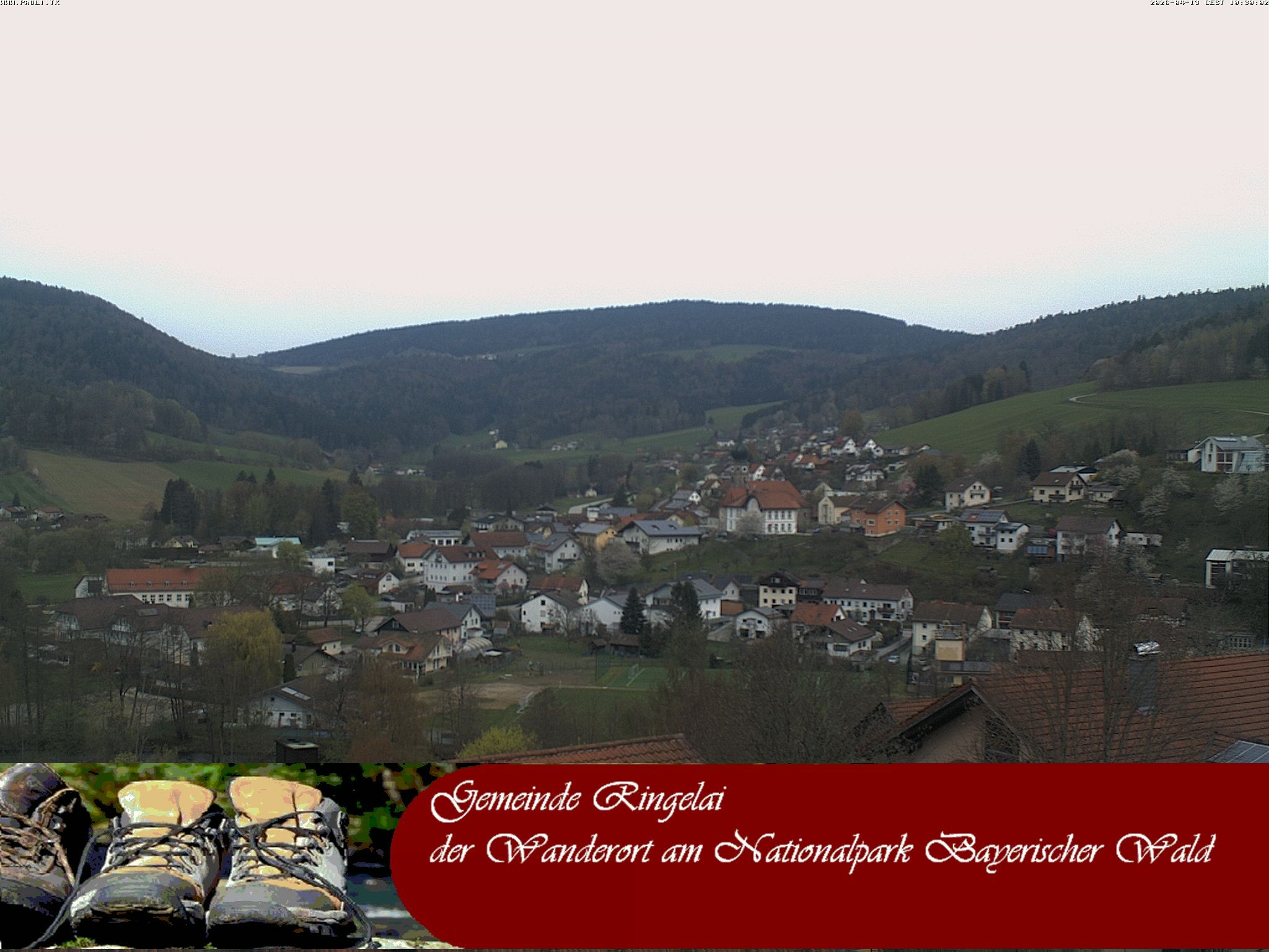 Archiv Foto Webcam Ringelai