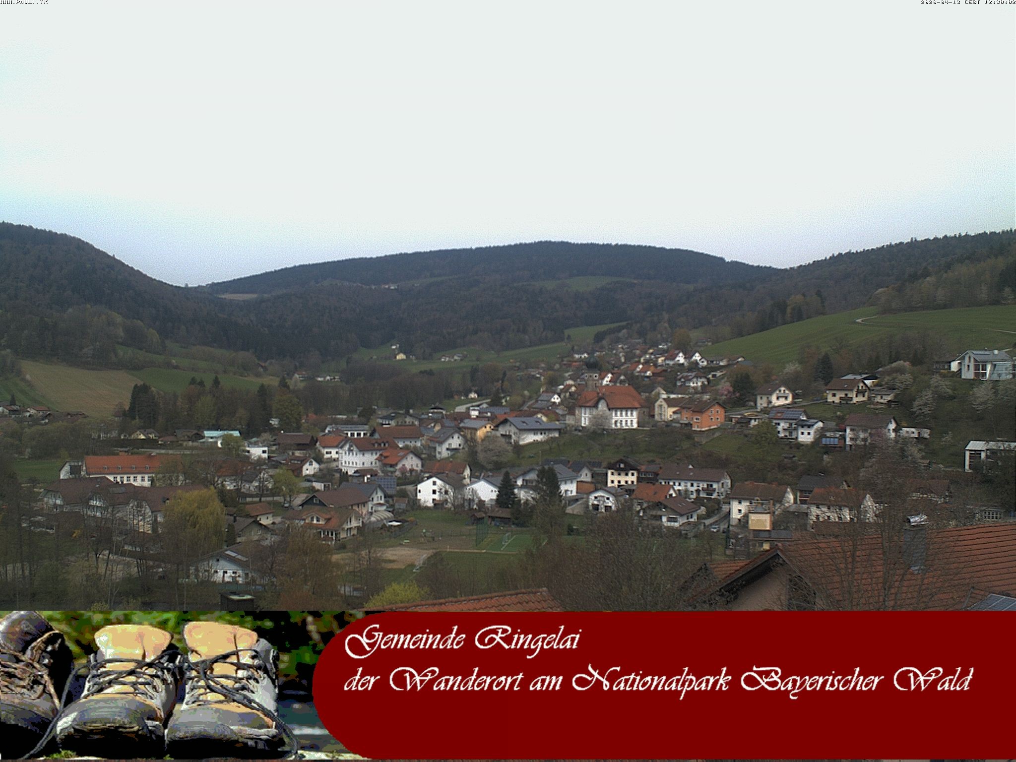 Archiv Foto Webcam Ringelai