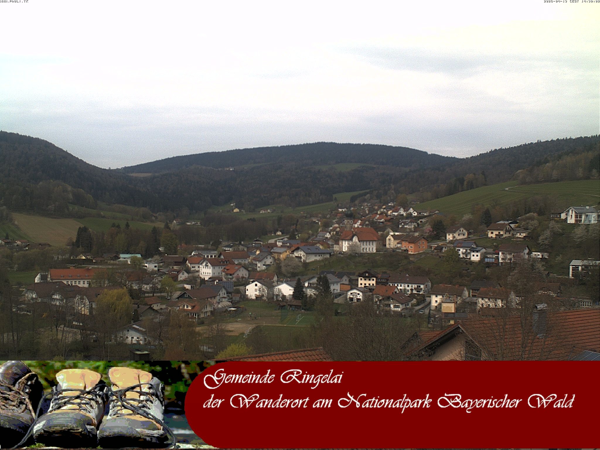 Archiv Foto Webcam Ringelai