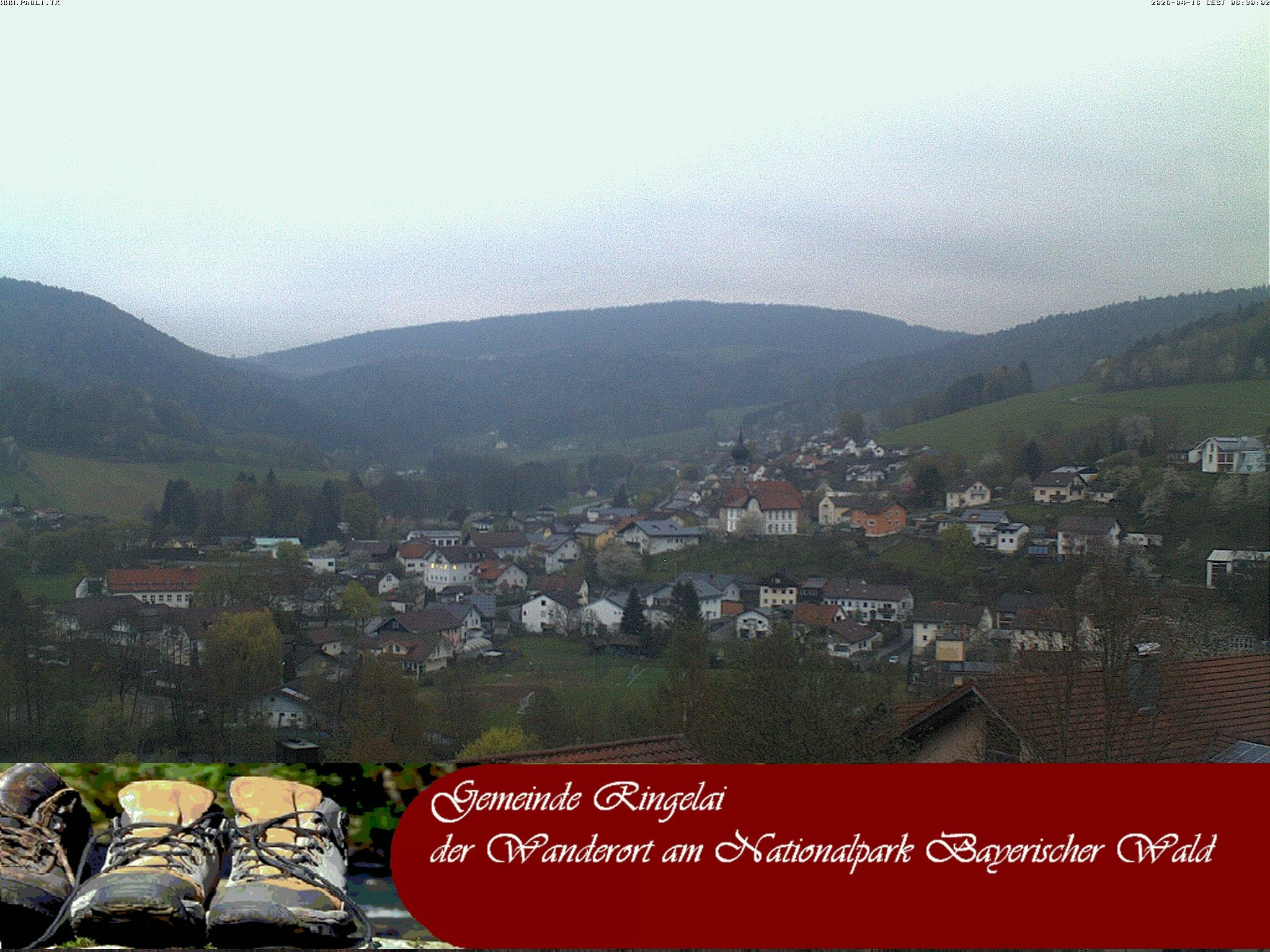 Archiv Foto Webcam Ringelai