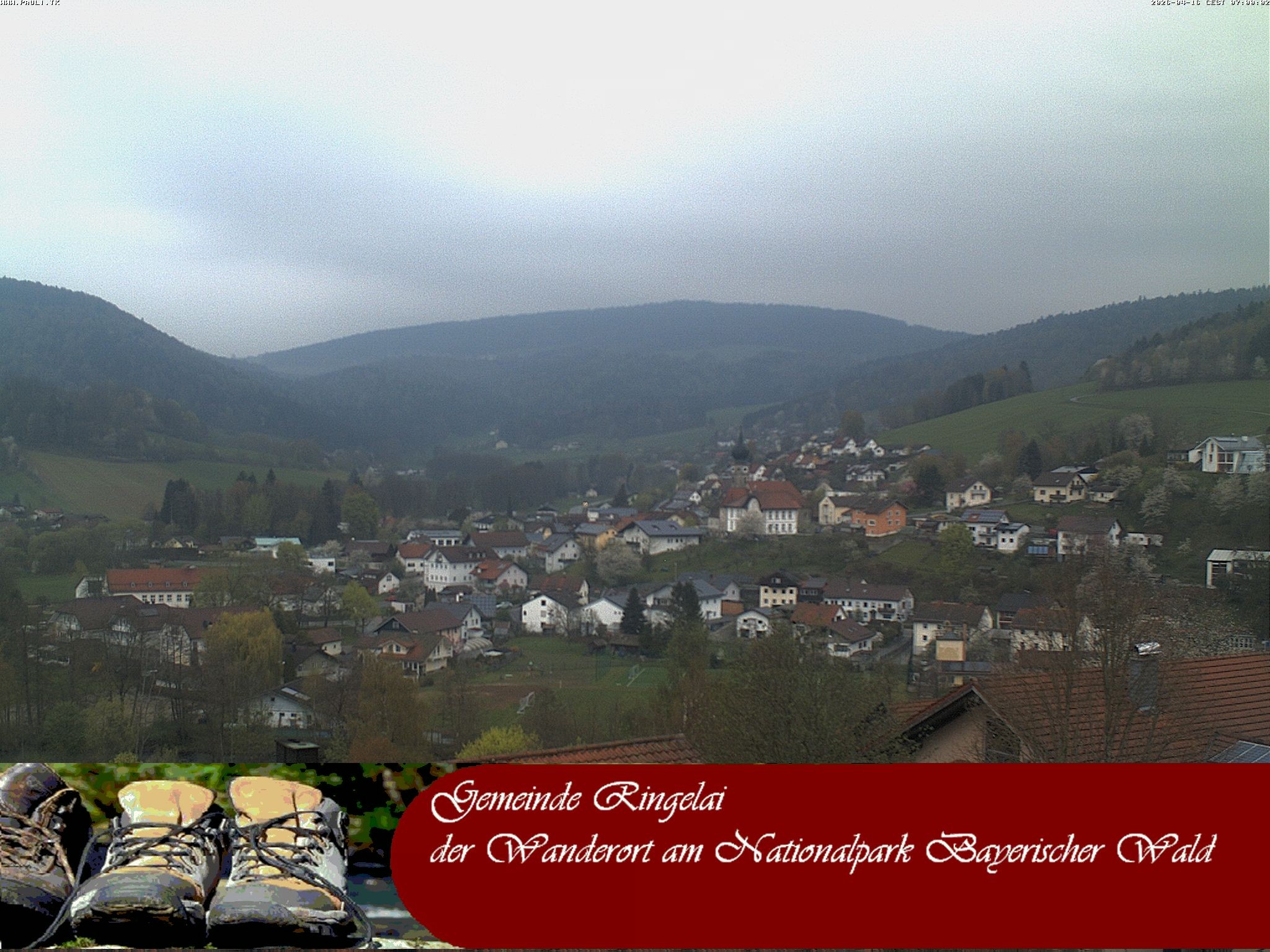 Archiv Foto Webcam Ringelai