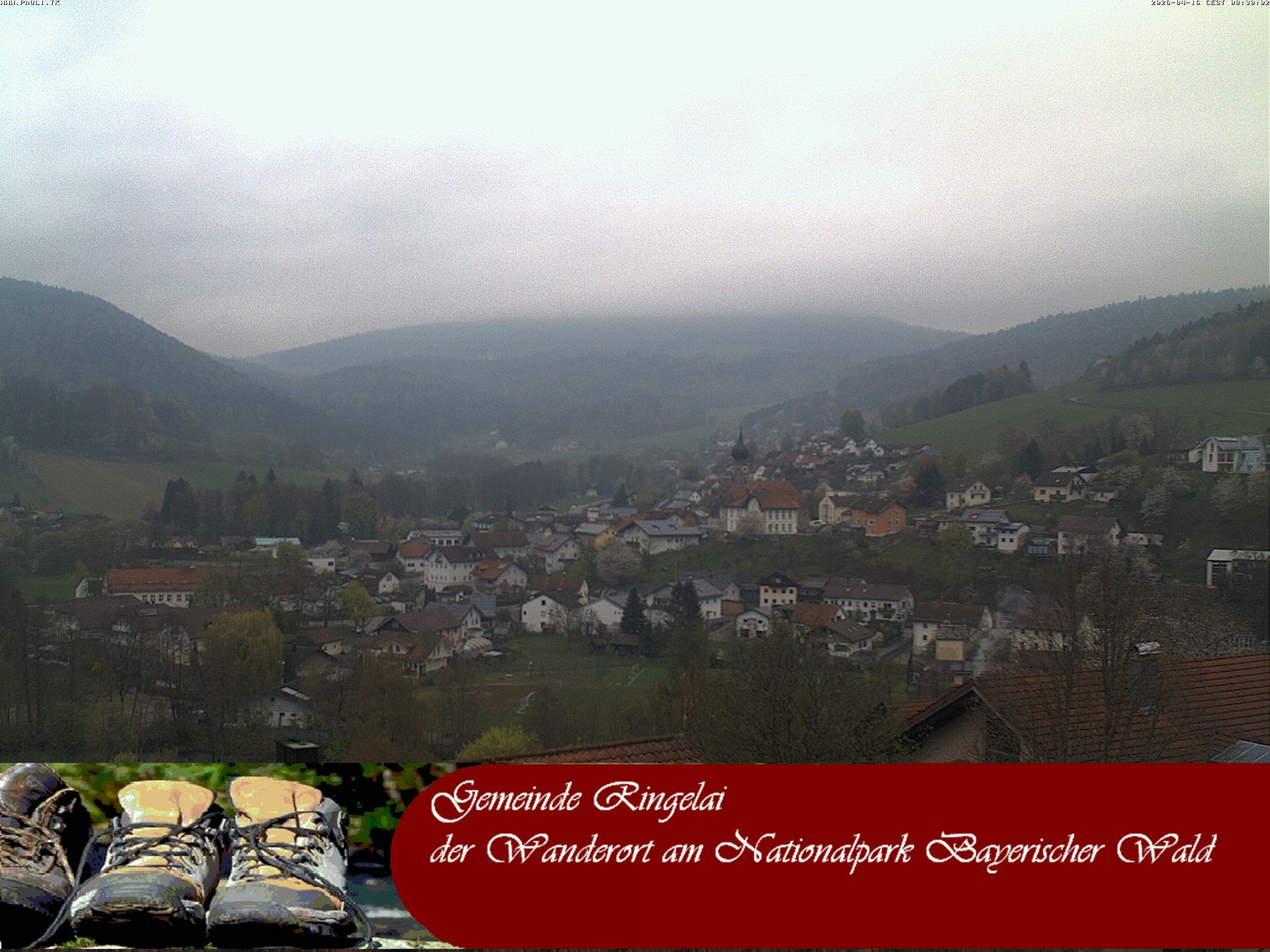 Archiv Foto Webcam Ringelai