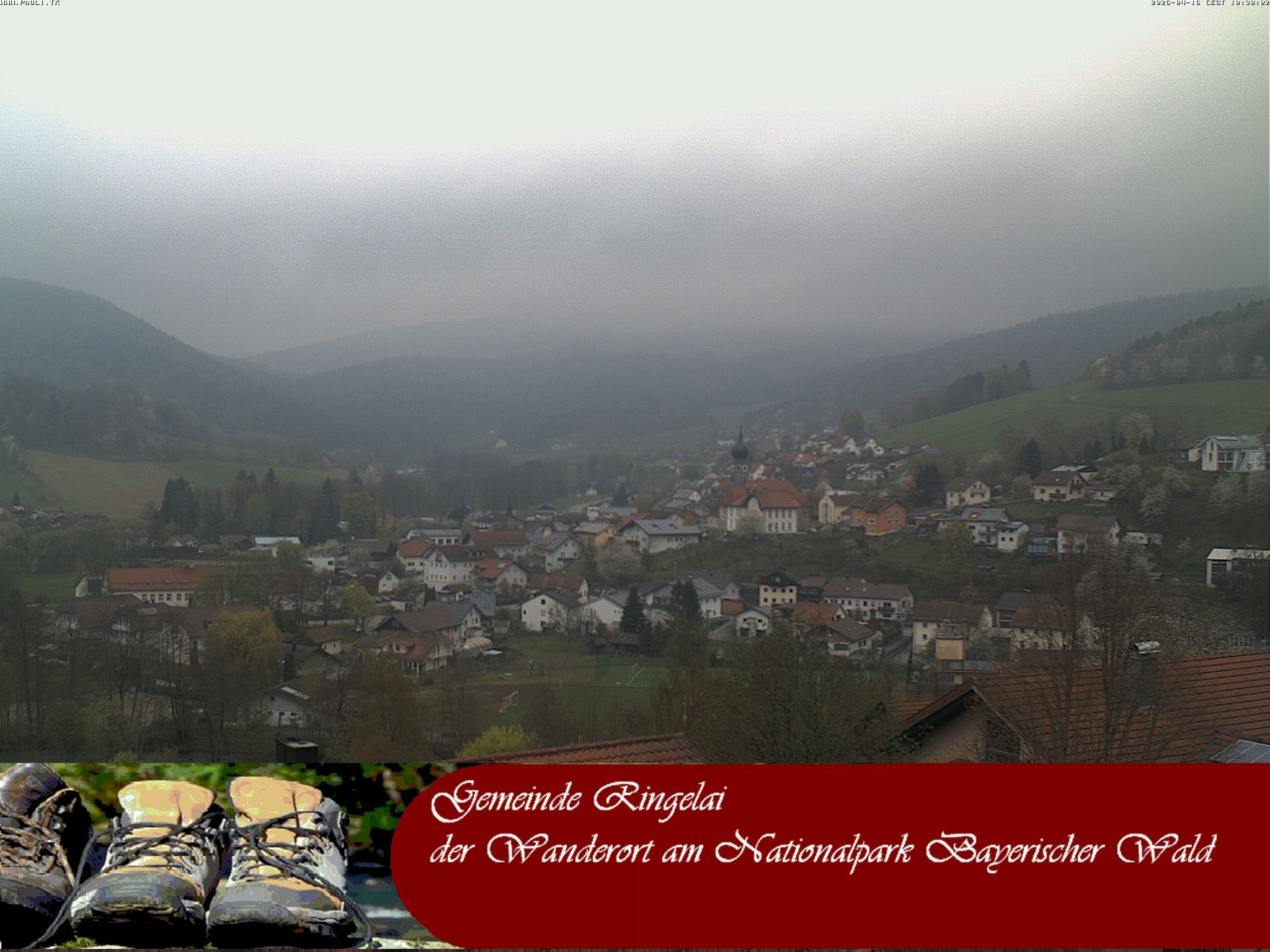 Archiv Foto Webcam Ringelai