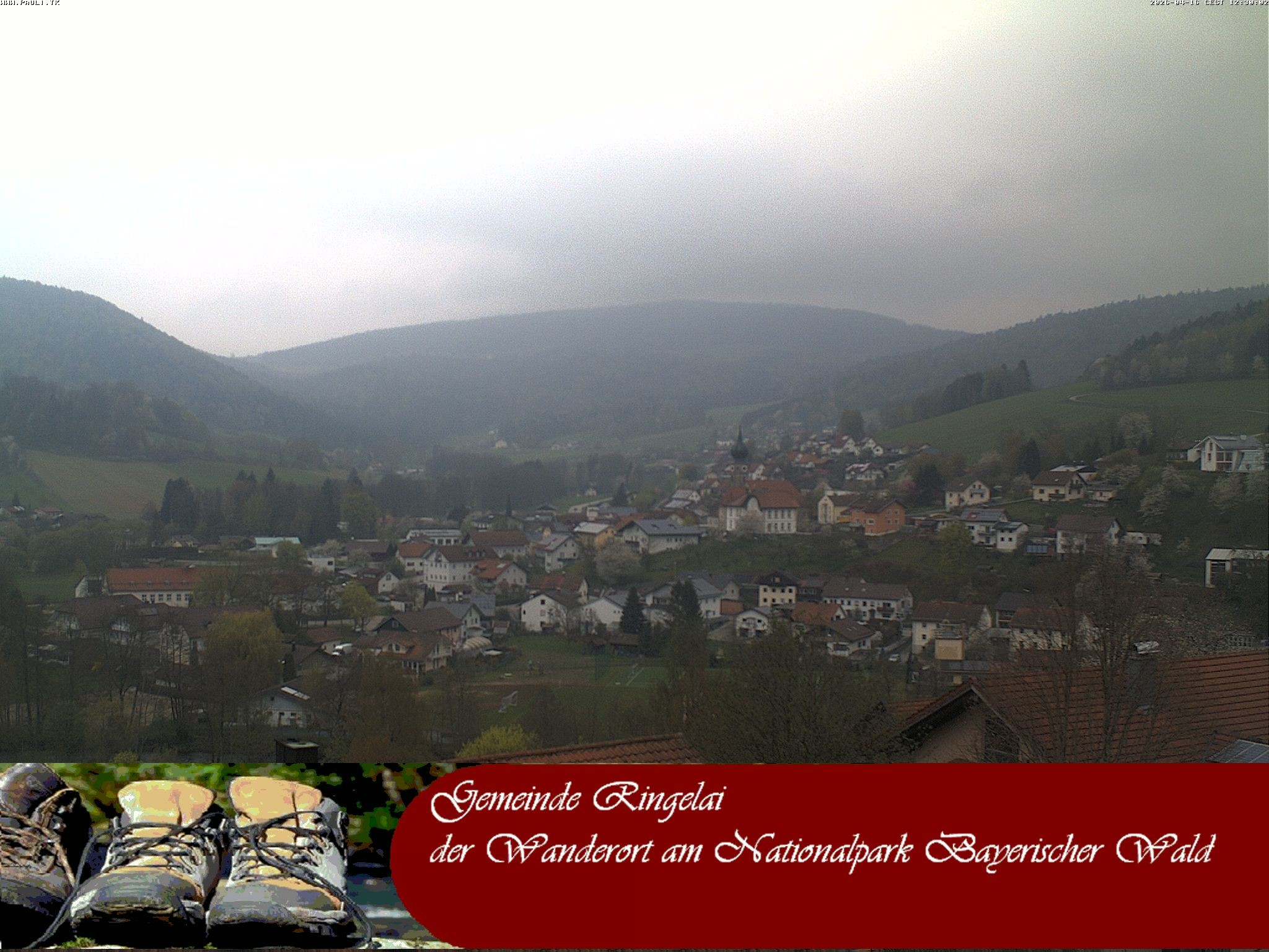 Archiv Foto Webcam Ringelai