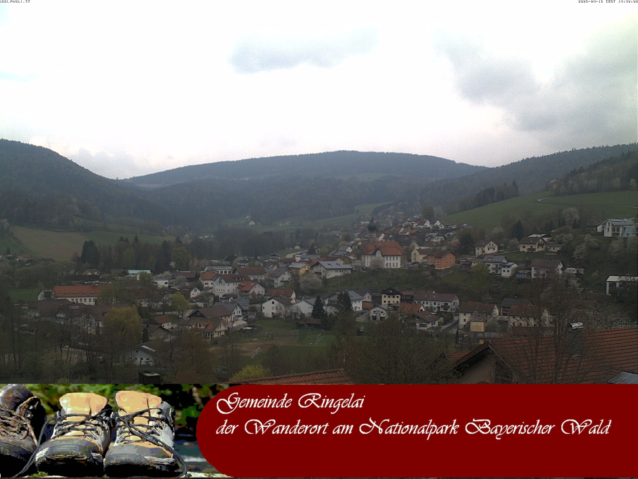 Archiv Foto Webcam Ringelai