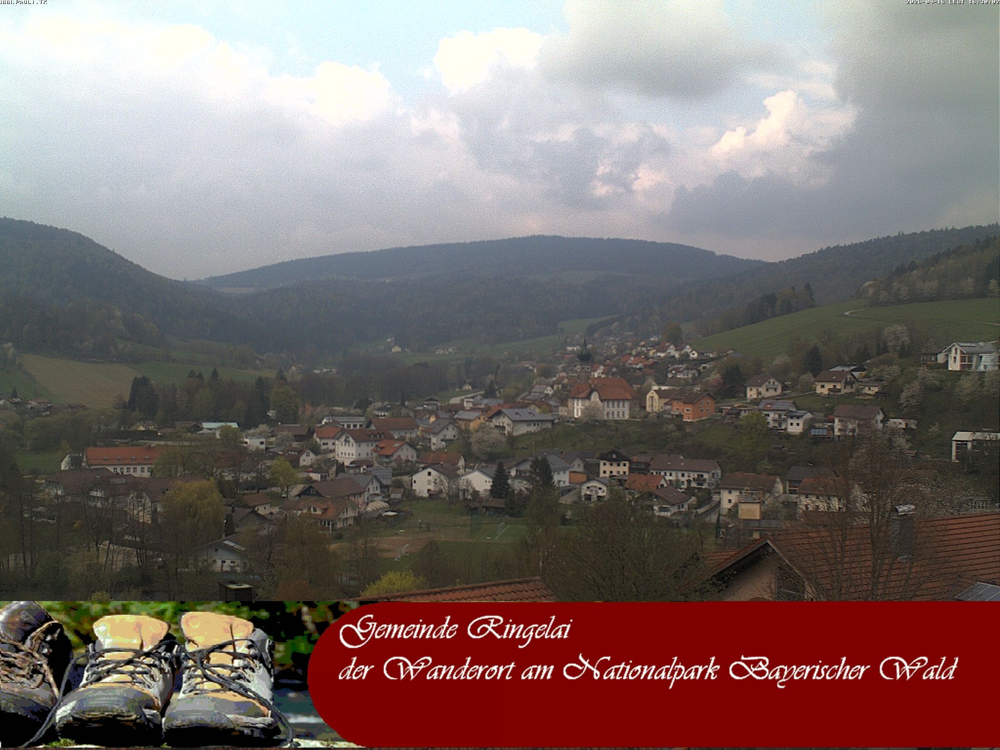 Archiv Foto Webcam Ringelai