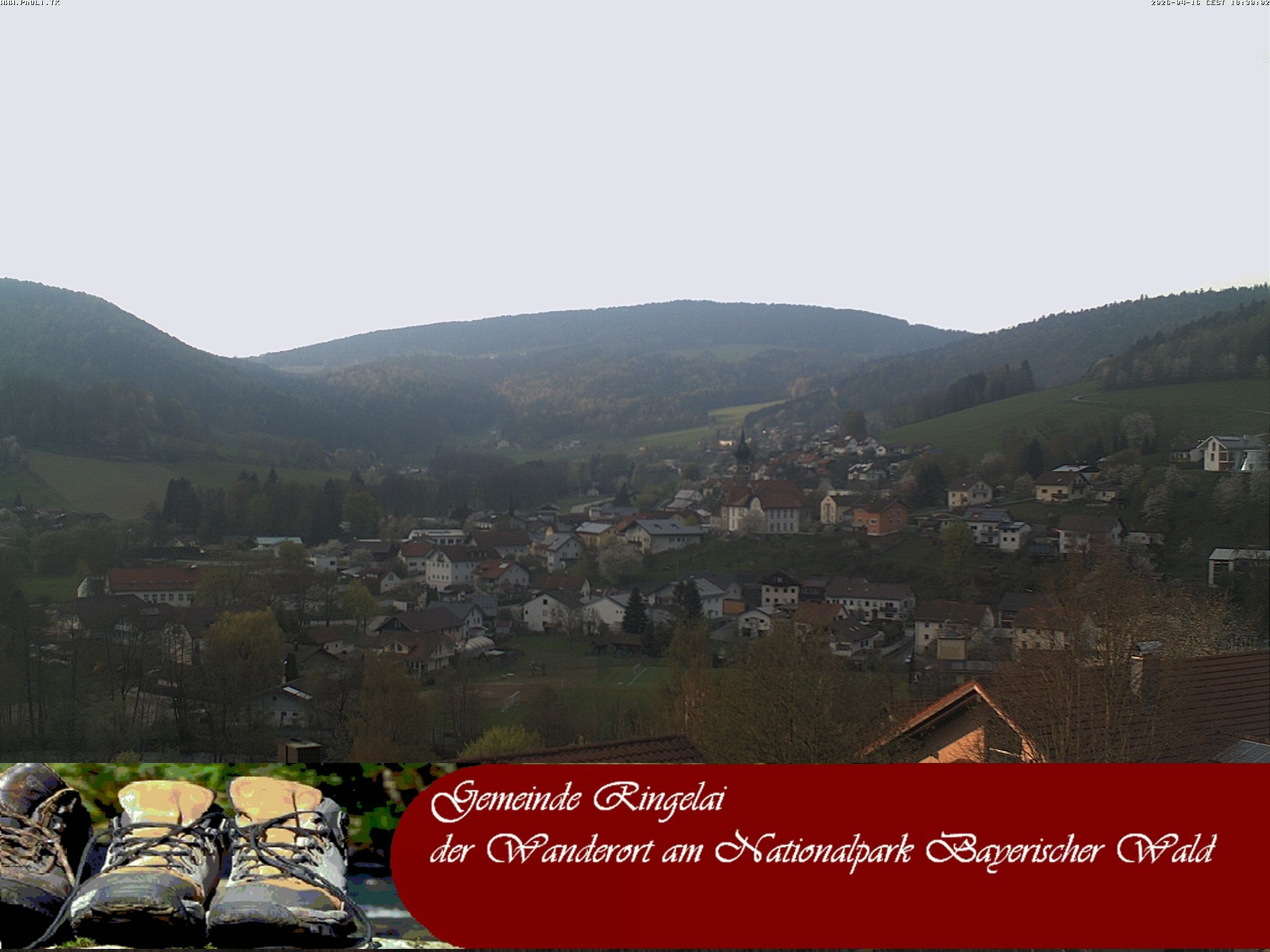 Archiv Foto Webcam Ringelai