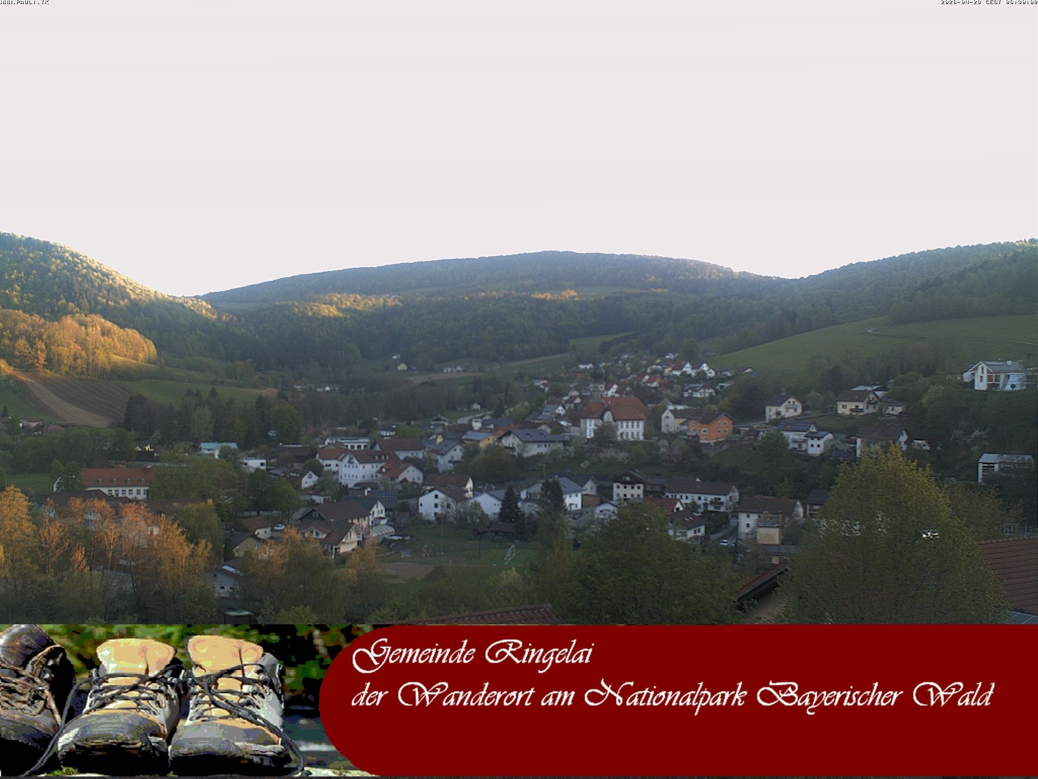 Archiv Foto Webcam Ringelai