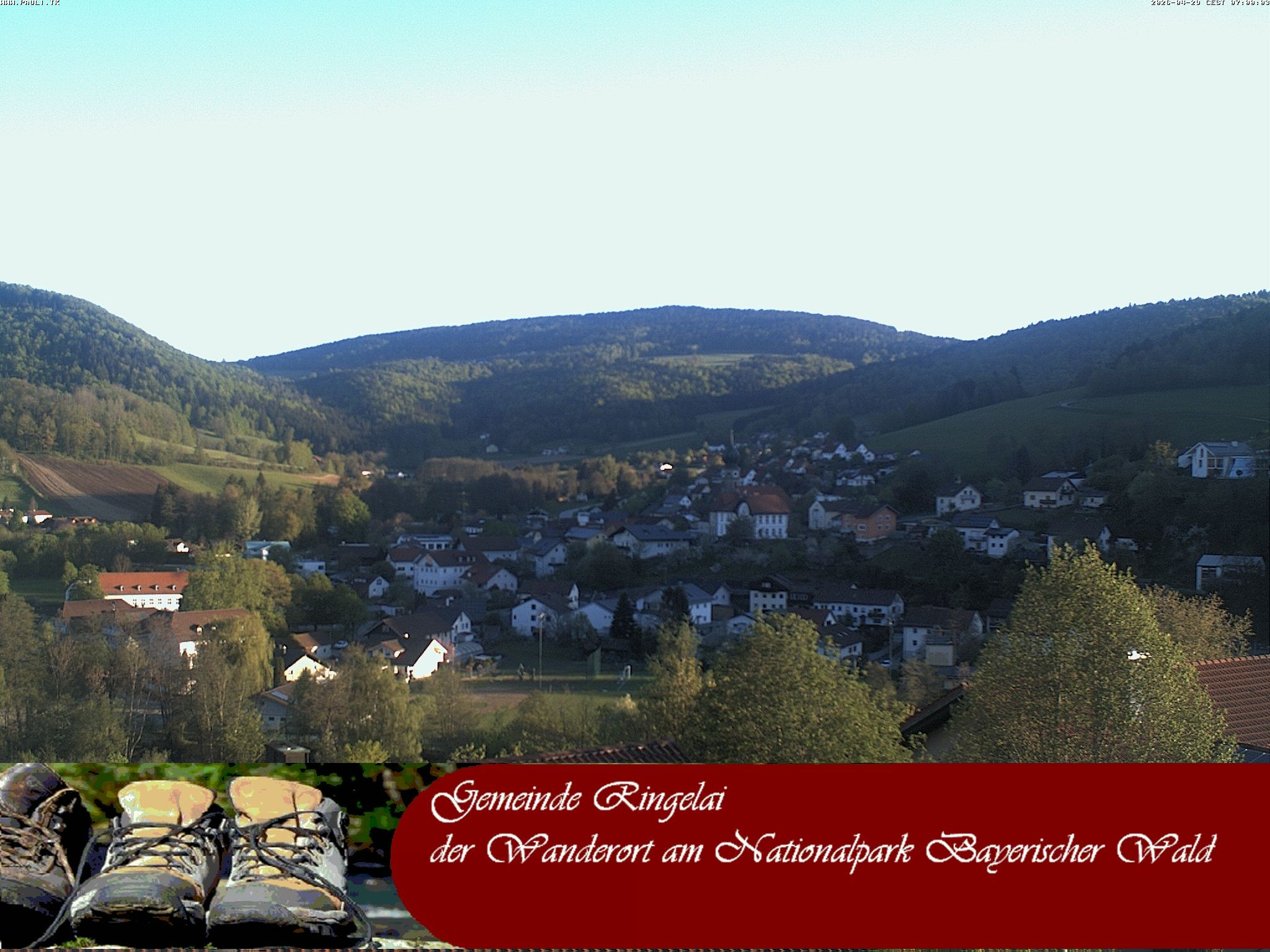 Archiv Foto Webcam Ringelai