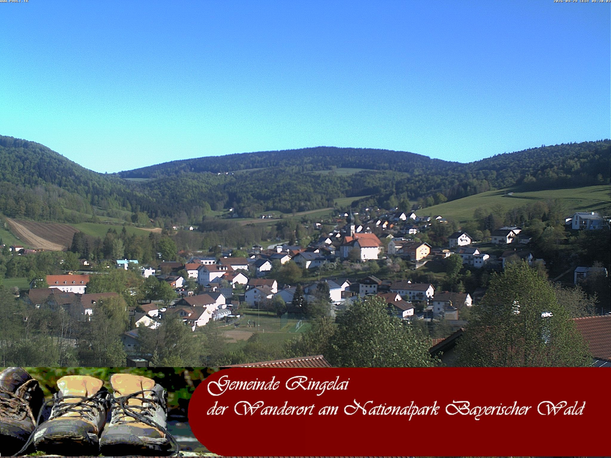 Archiv Foto Webcam Ringelai