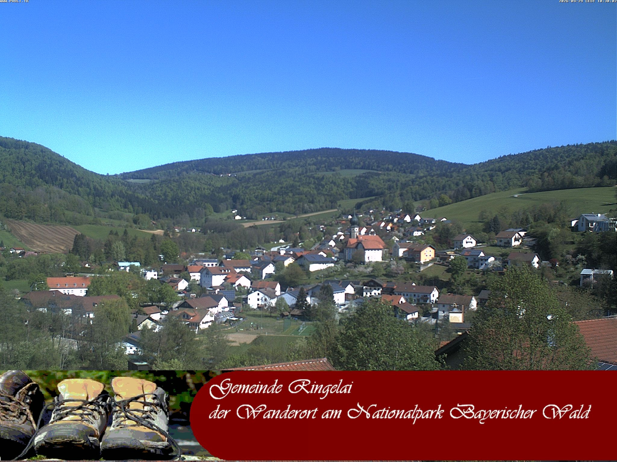 Archiv Foto Webcam Ringelai