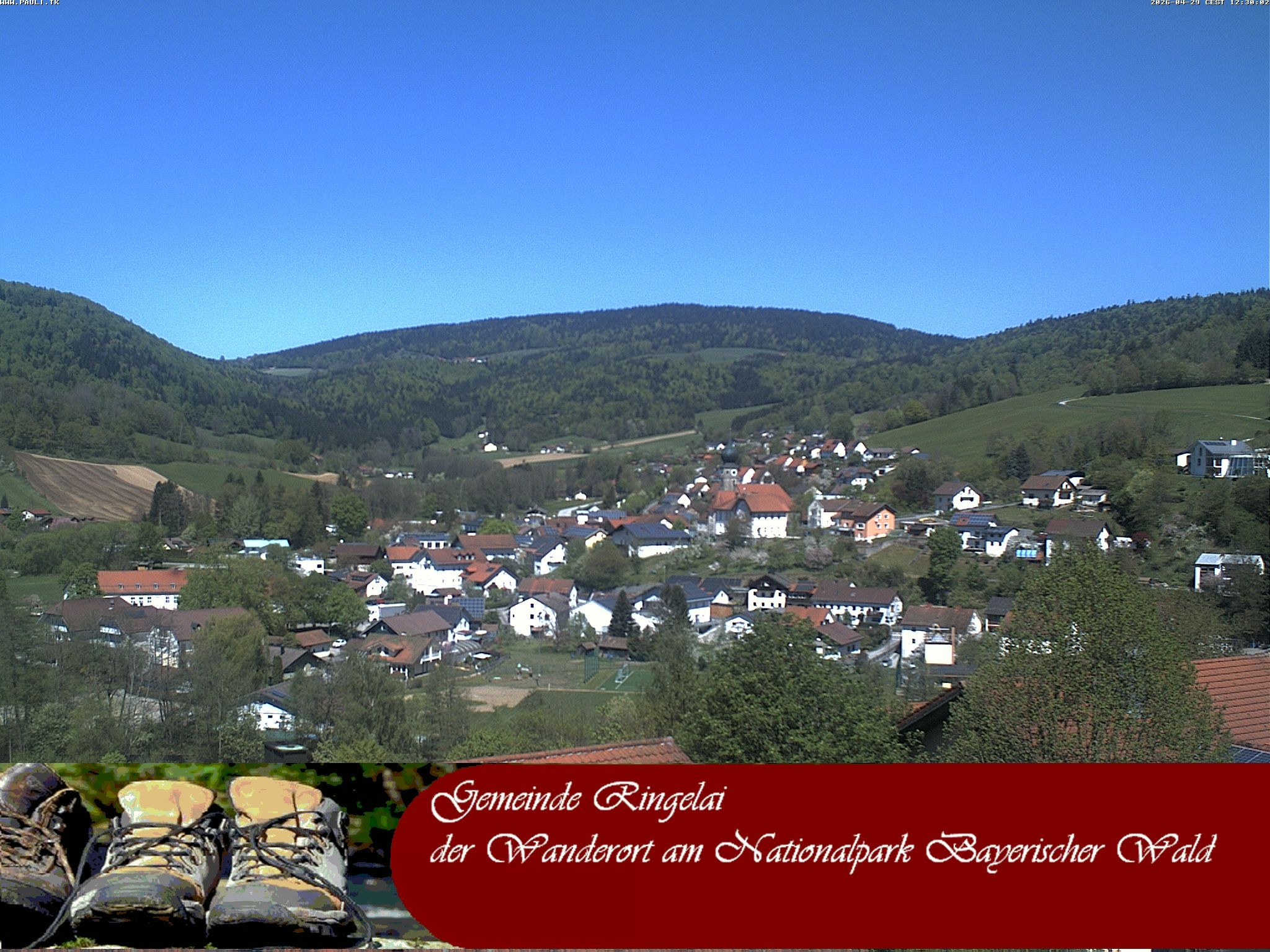 Archiv Foto Webcam Ringelai