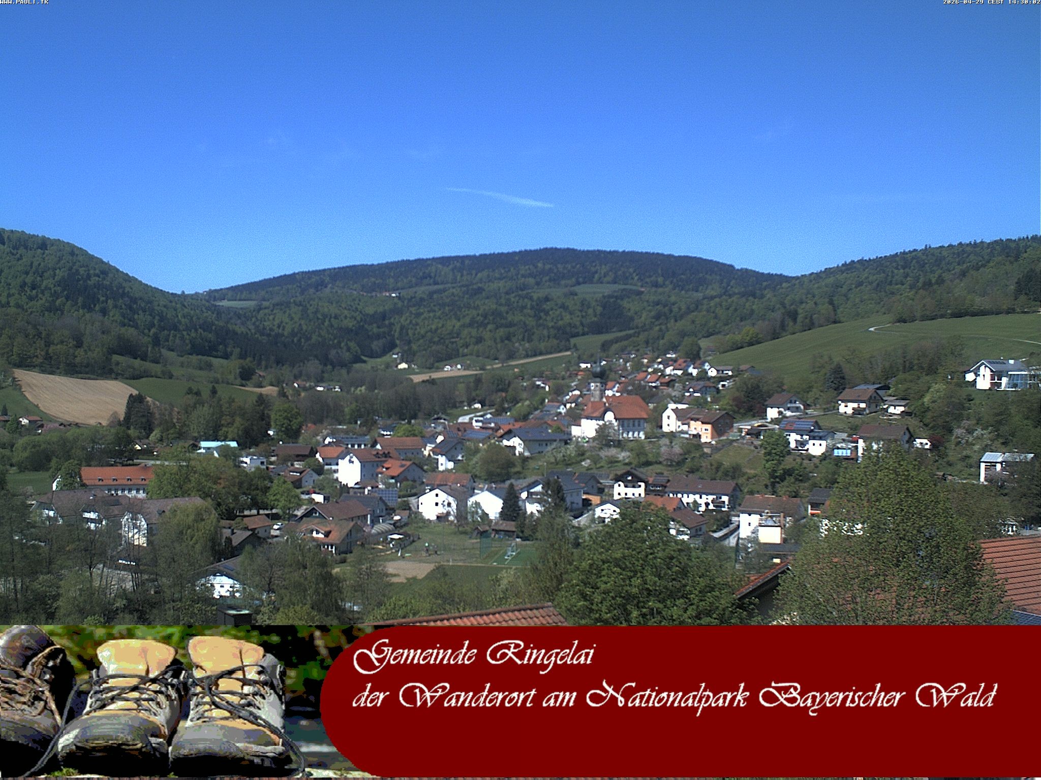 Archiv Foto Webcam Ringelai