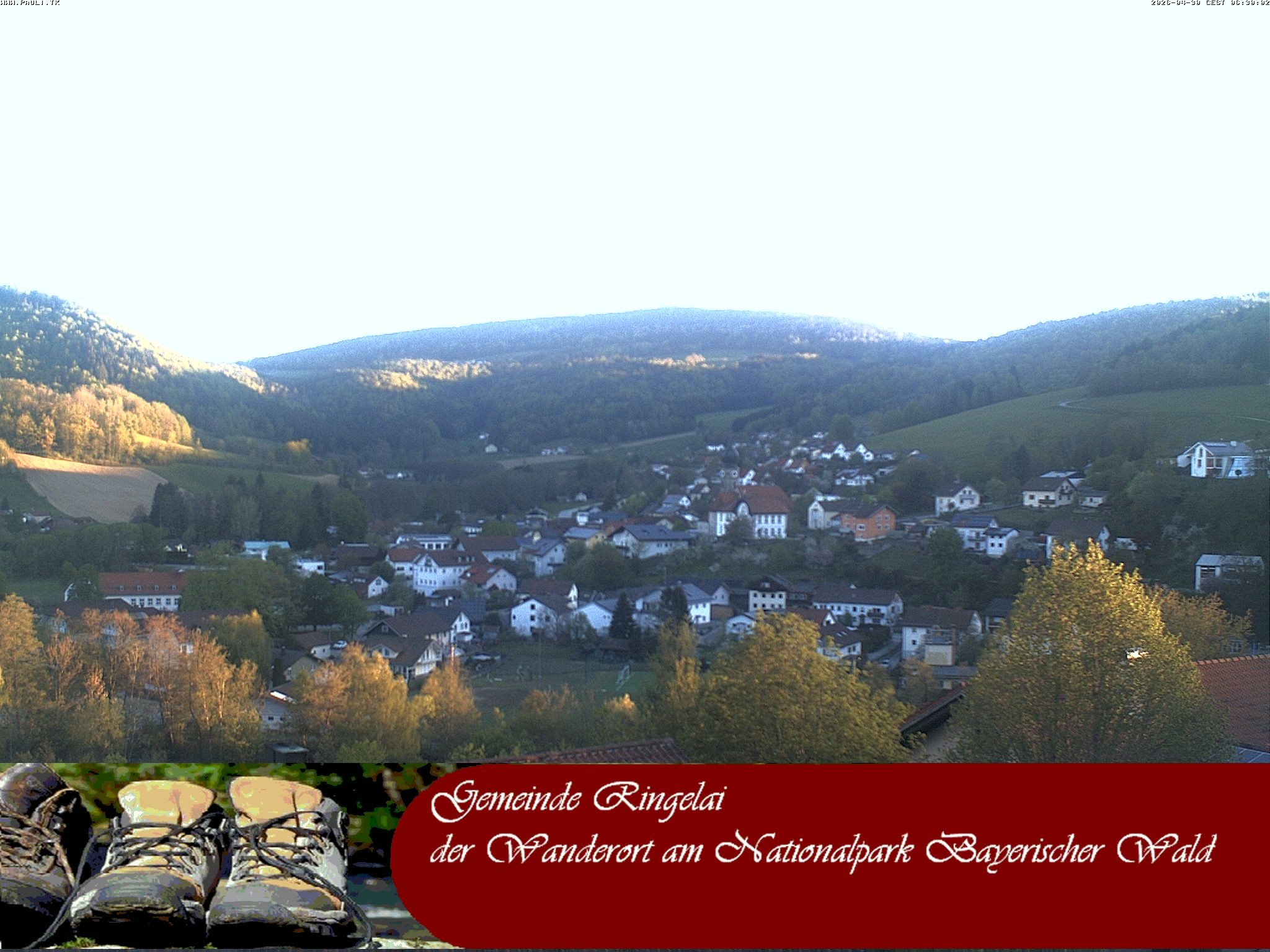 Archiv Foto Webcam Ringelai