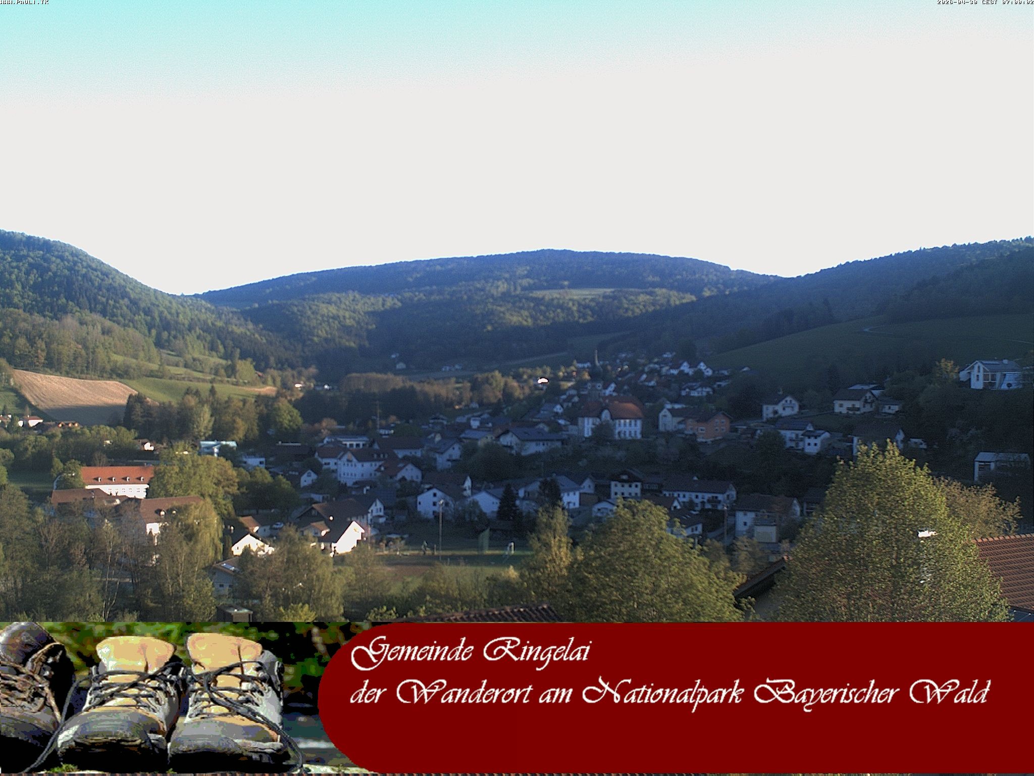 Archiv Foto Webcam Ringelai