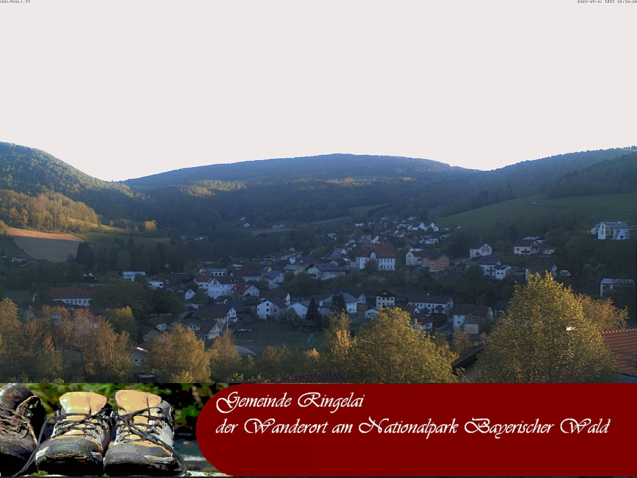 Archiv Foto Webcam Ringelai